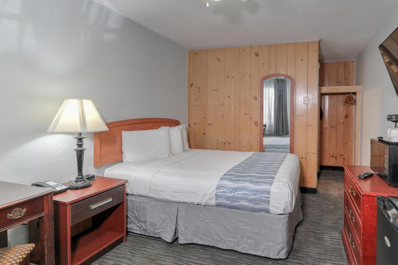 Single Queen Room