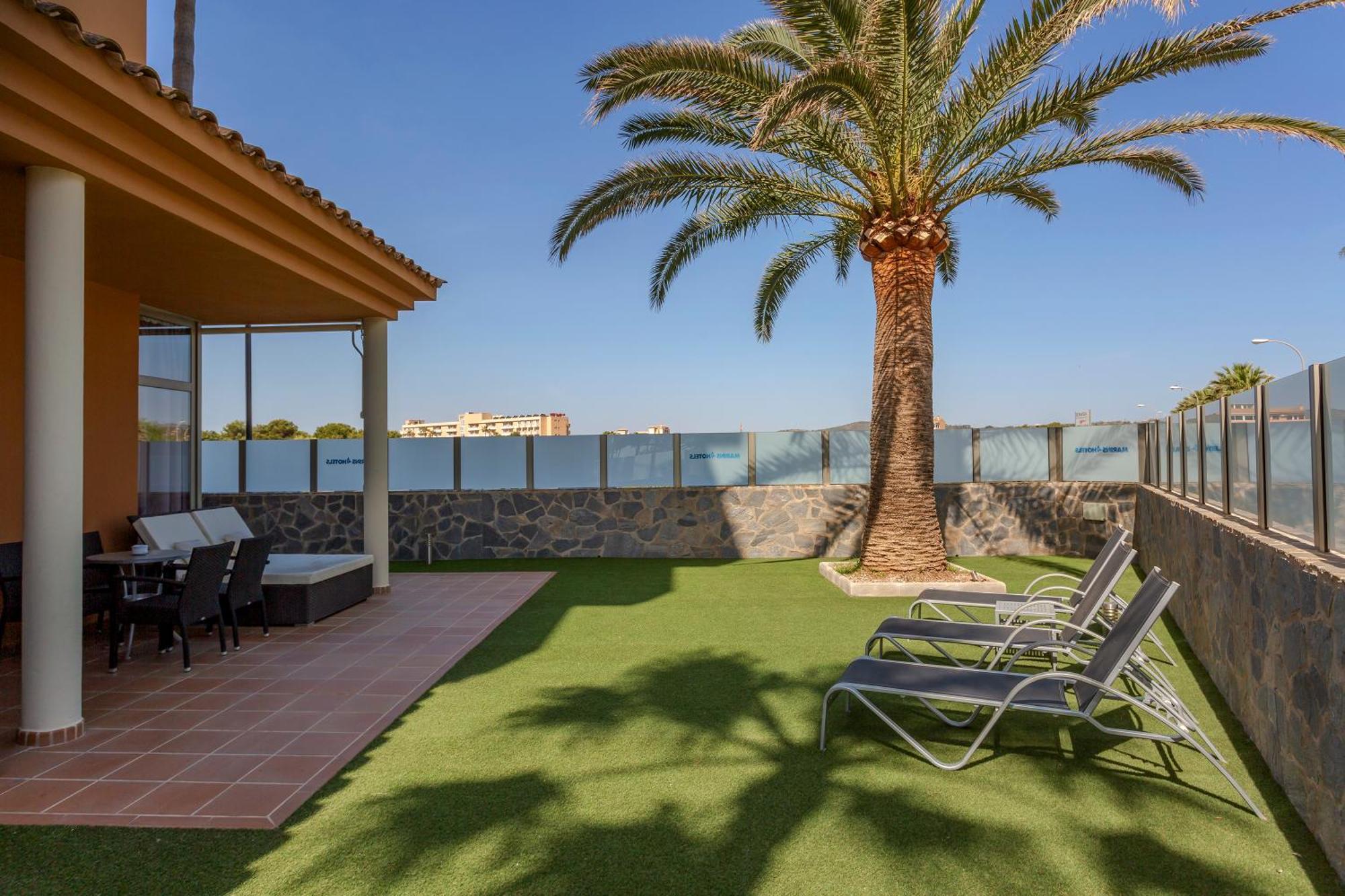 Suite Terrace