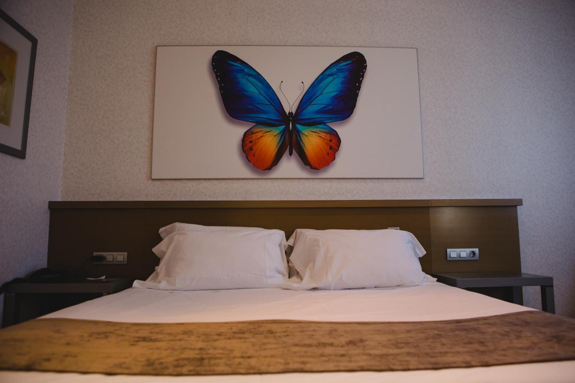 Double or Twin Room - Disability Access,1207661365:JPEG