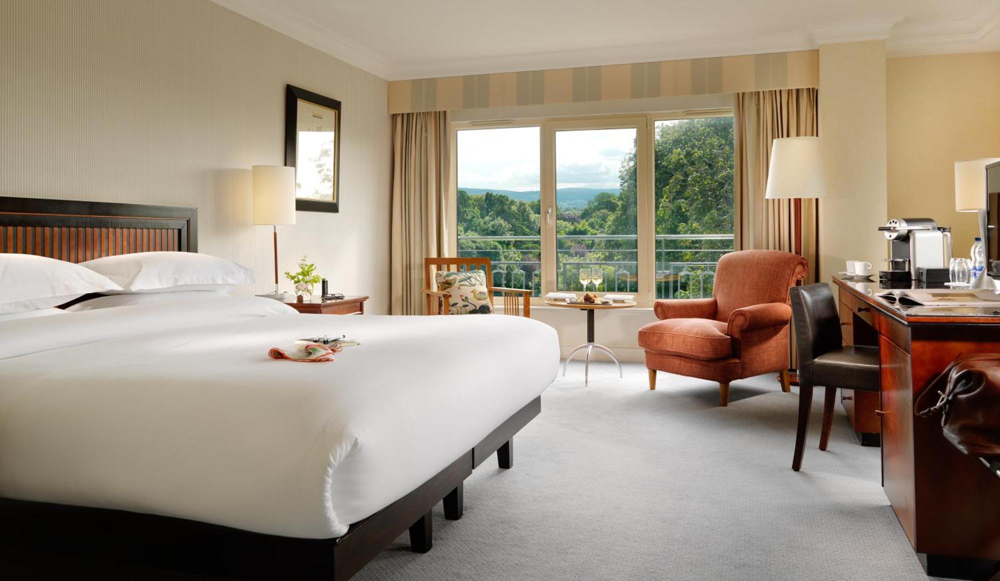 Executive King Room,1274407687:JPEG