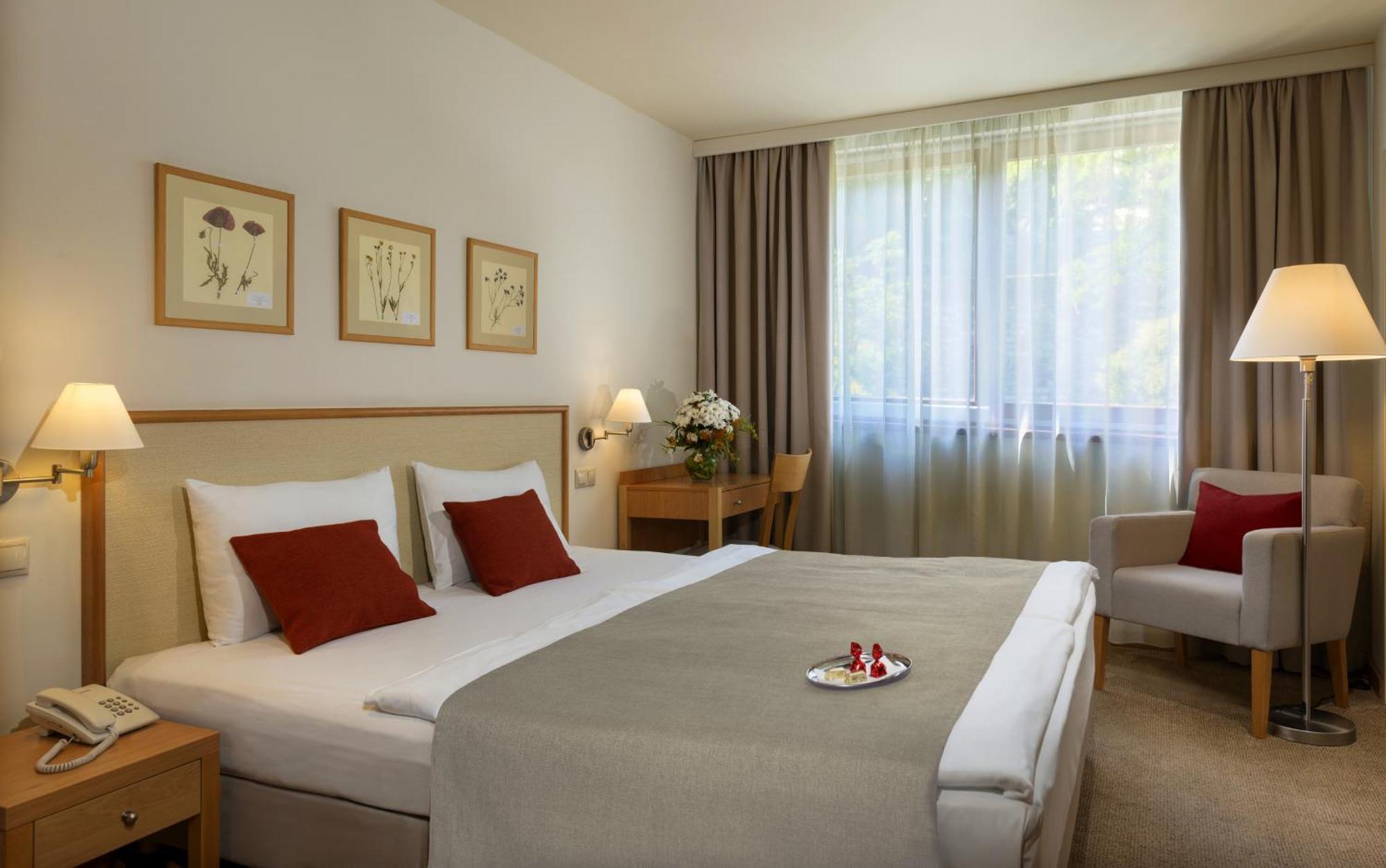 Standard Double Room,1356185885:JPEG