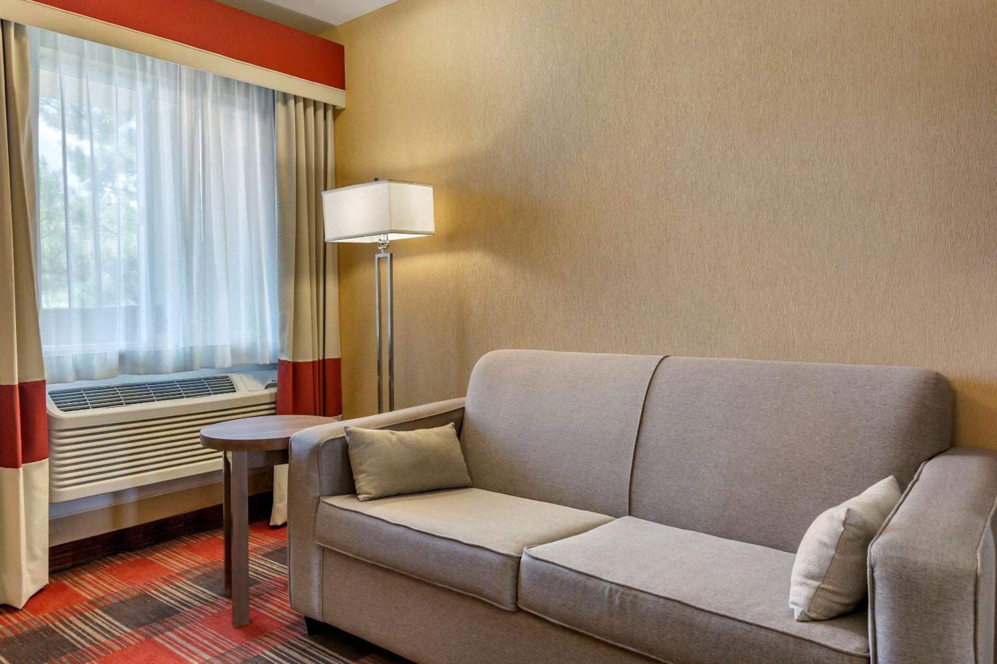 King Room Sofa-Bed Wet Bar Non-Smoking