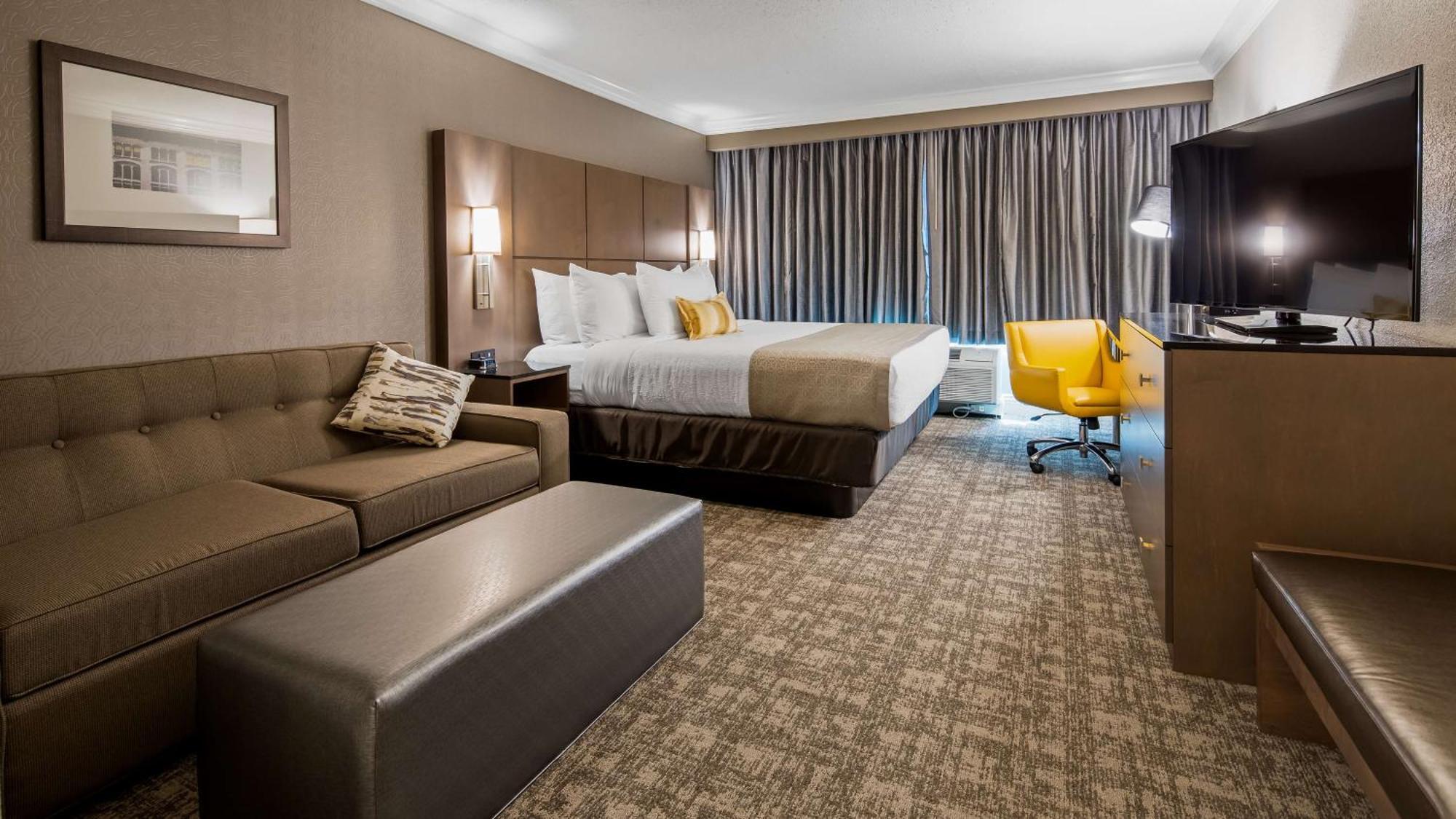 King Suite Sofa Bed