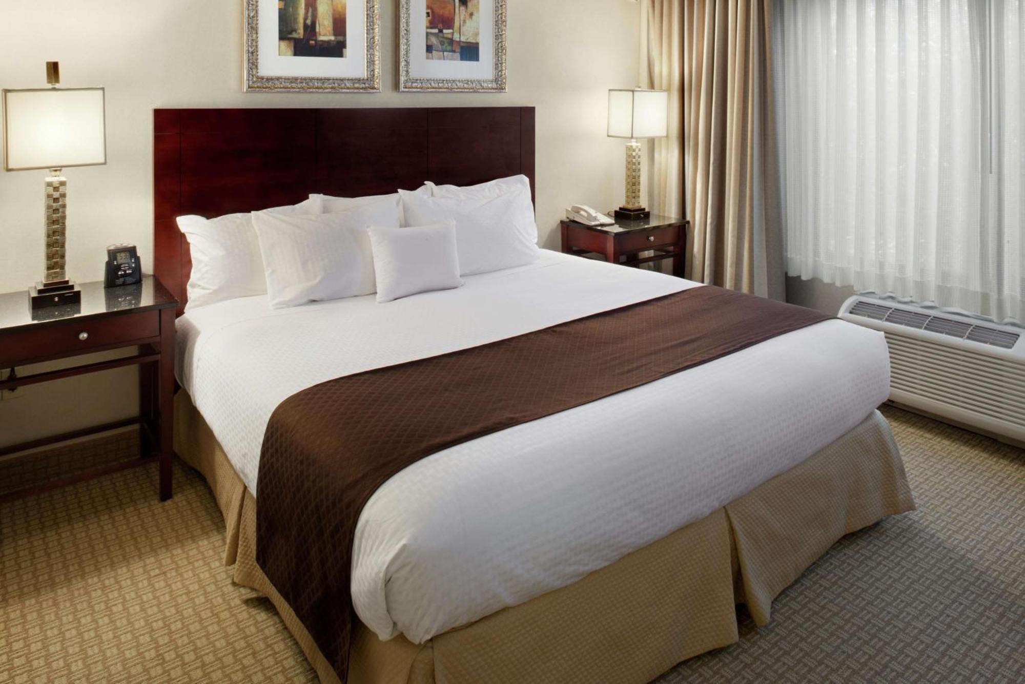 Non-Smoking Two Room King Suite