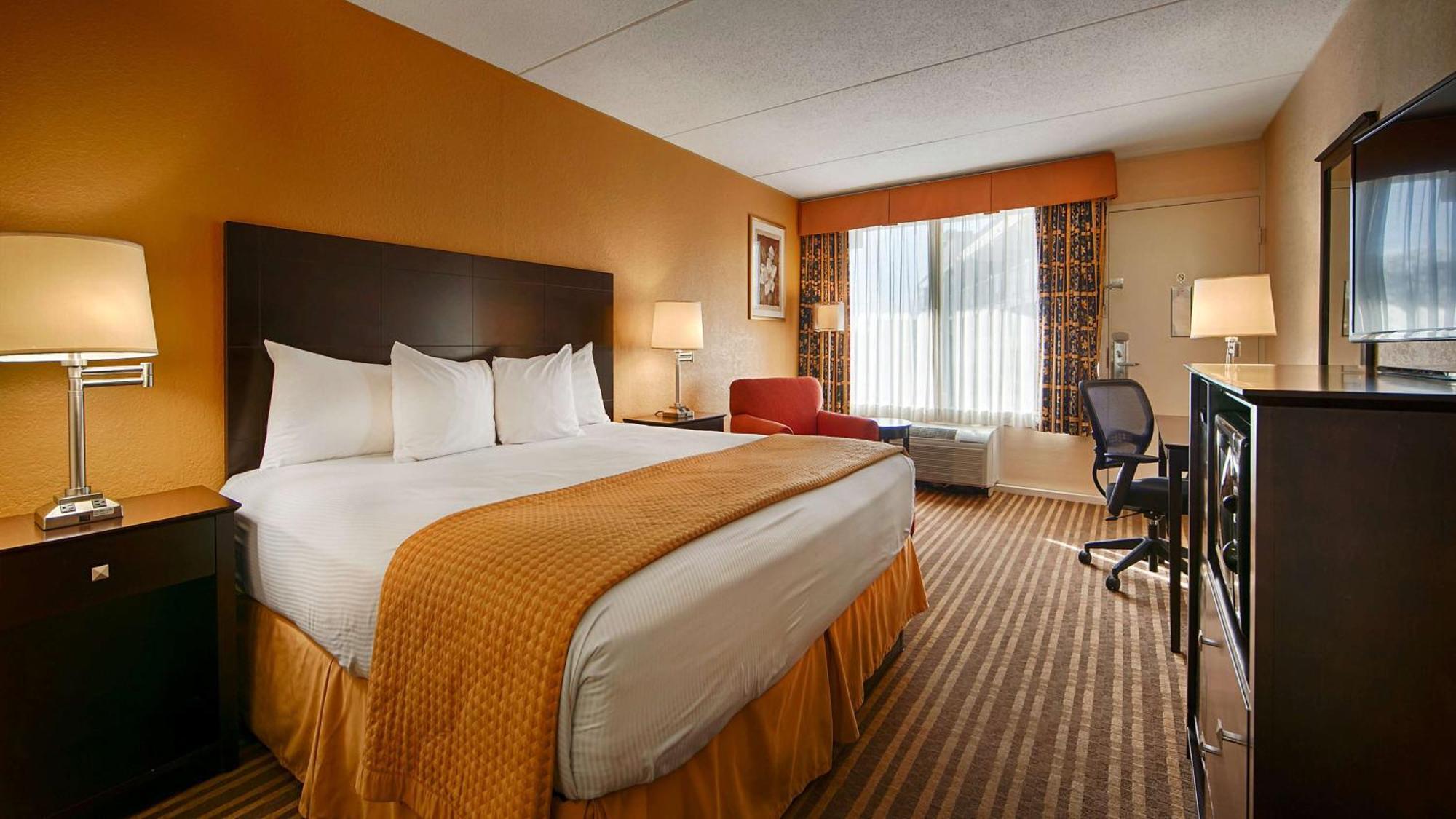 King Room Roll Shower Pet Friendly or Disability Accessible,1275825166:JPEG