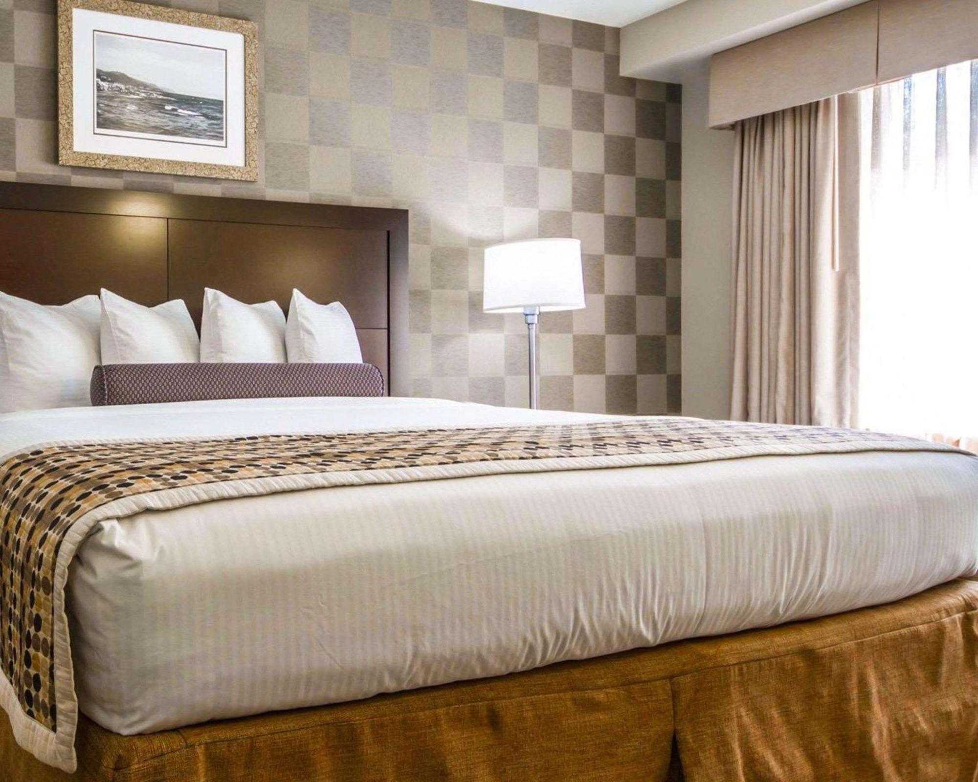 Mini Suite Disability Access