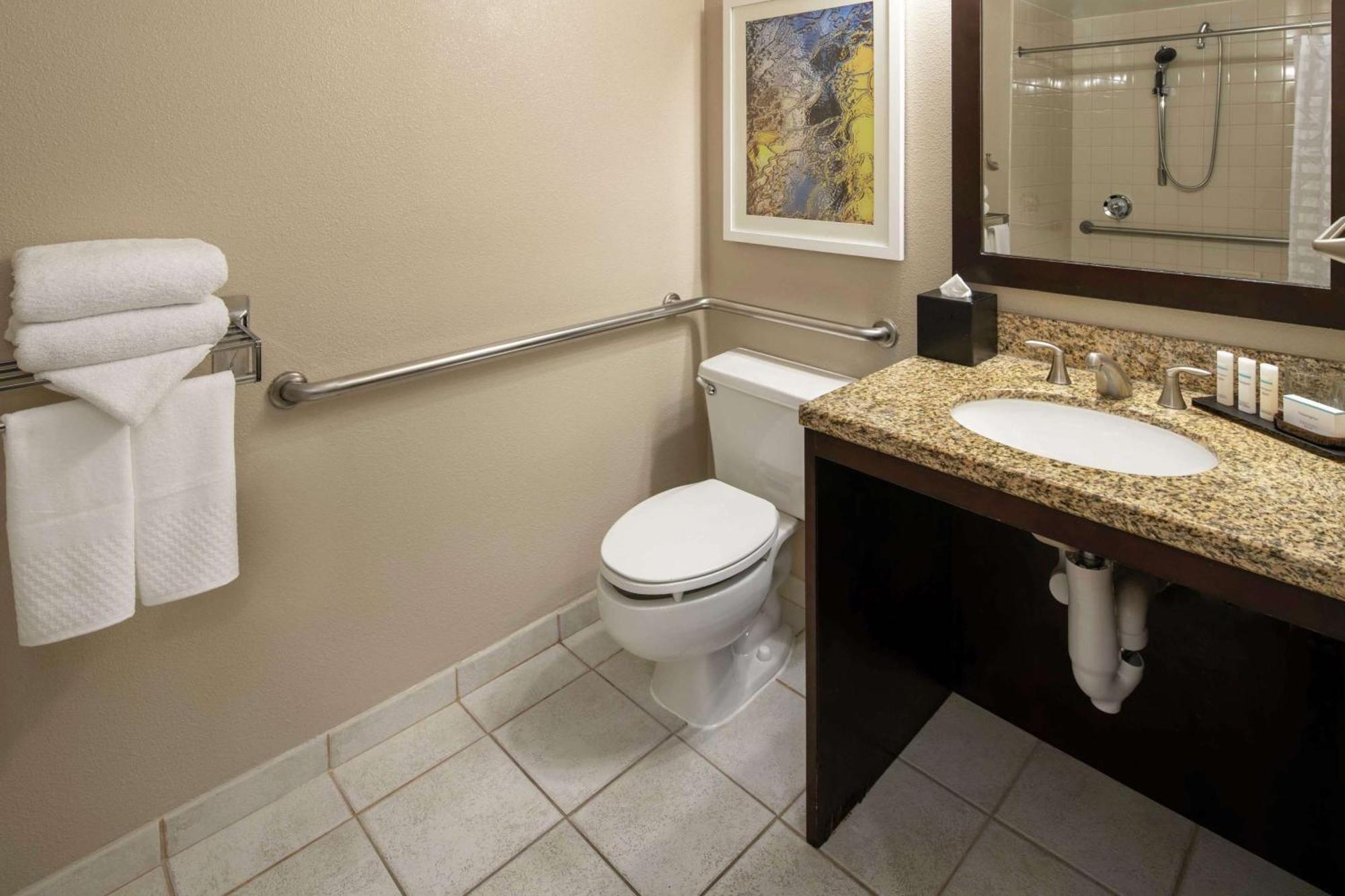 King Suite Roll Shower Sofa Bed Mobility Accessible,1275922705:JPEG