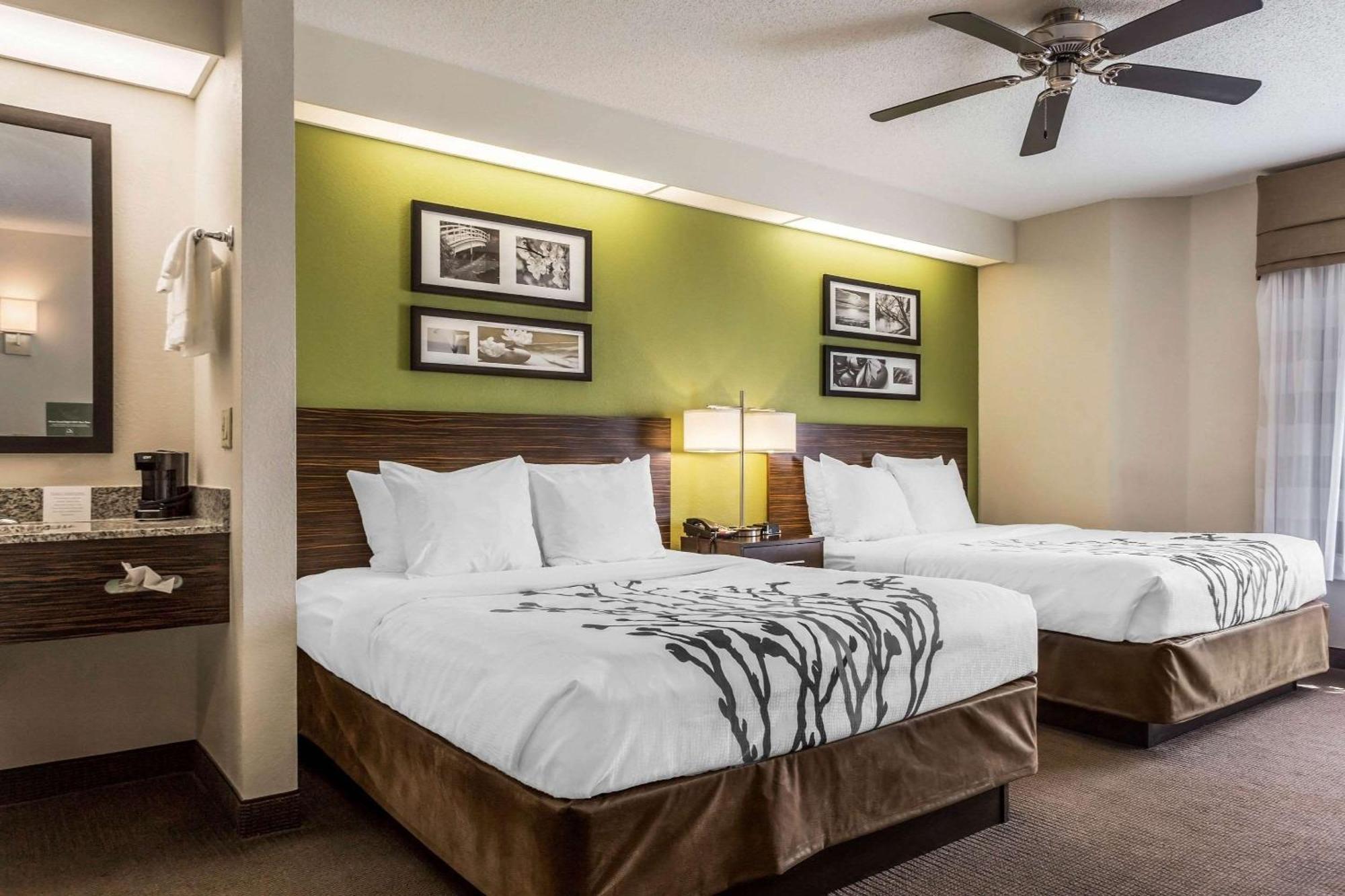 Standard Queen Room,1275926284:JPEG