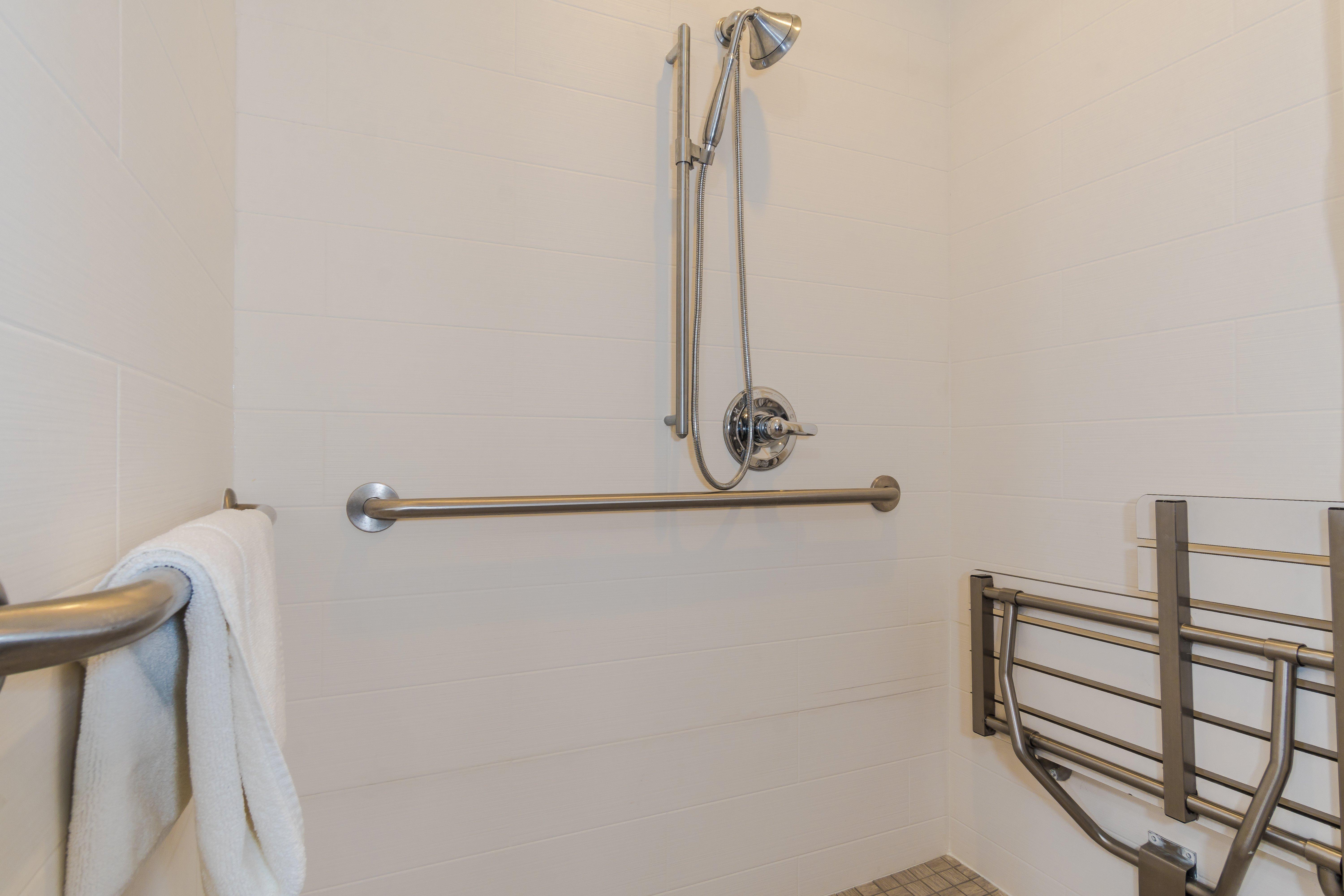 King Room Roll Shower City View Mobility Accessible