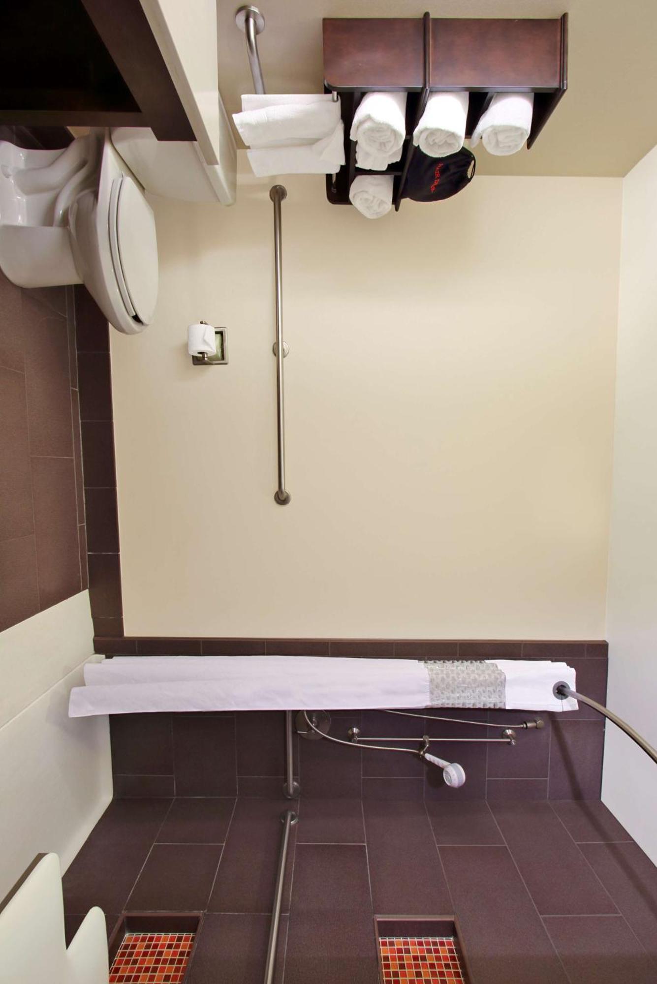 King Room Roll Shower Mobility Access or Non-Smoking