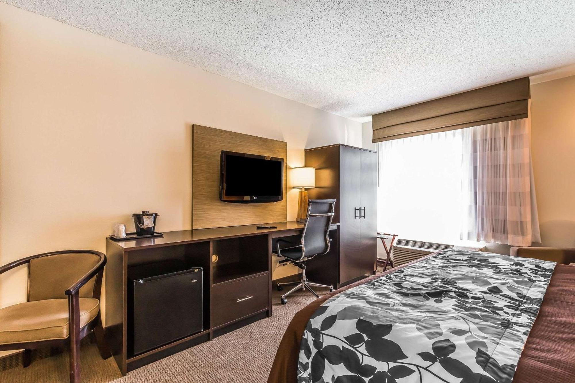 King Room - Non-Smoking