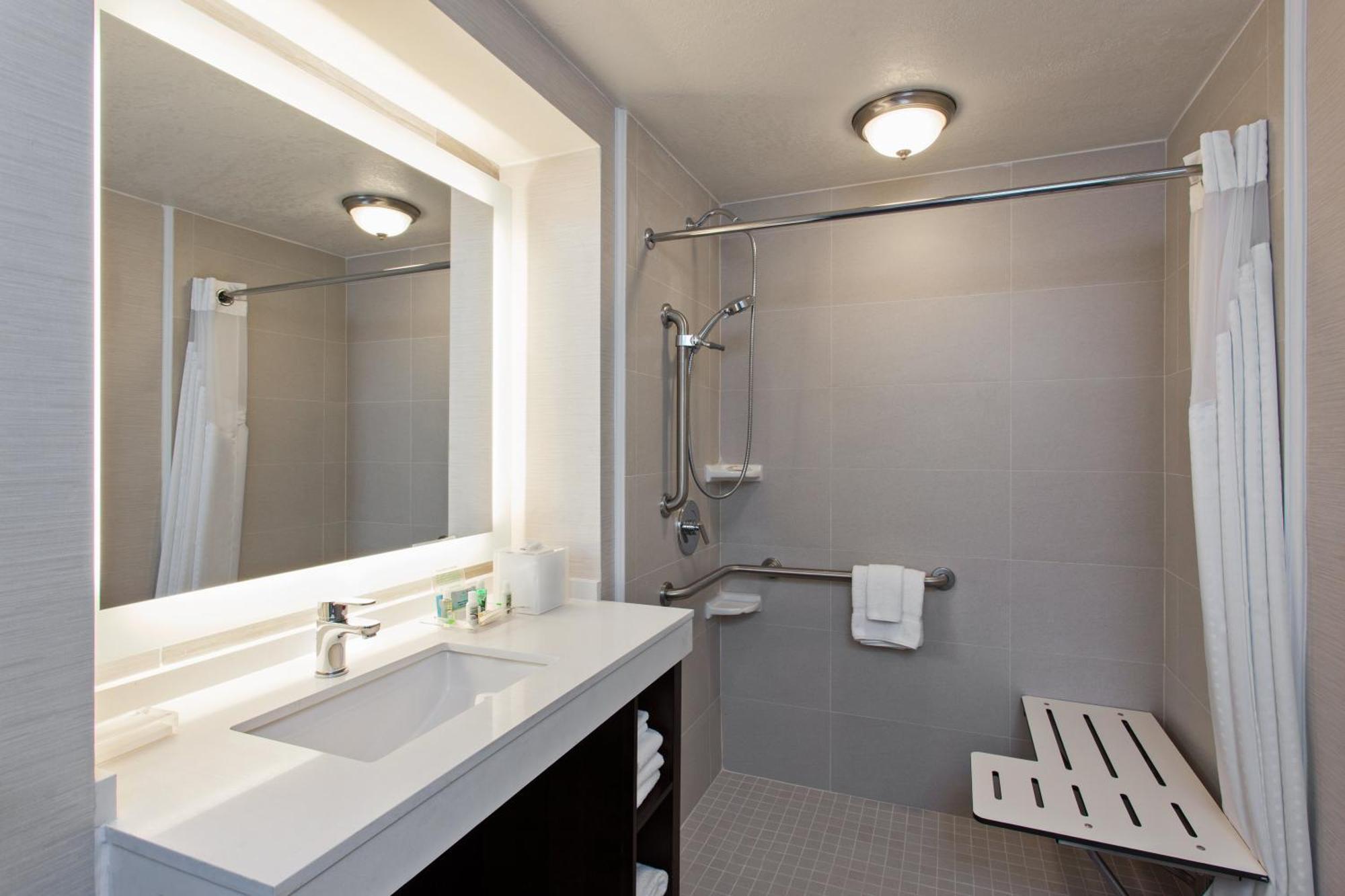 Standard King Room Roll Shower Communications Access