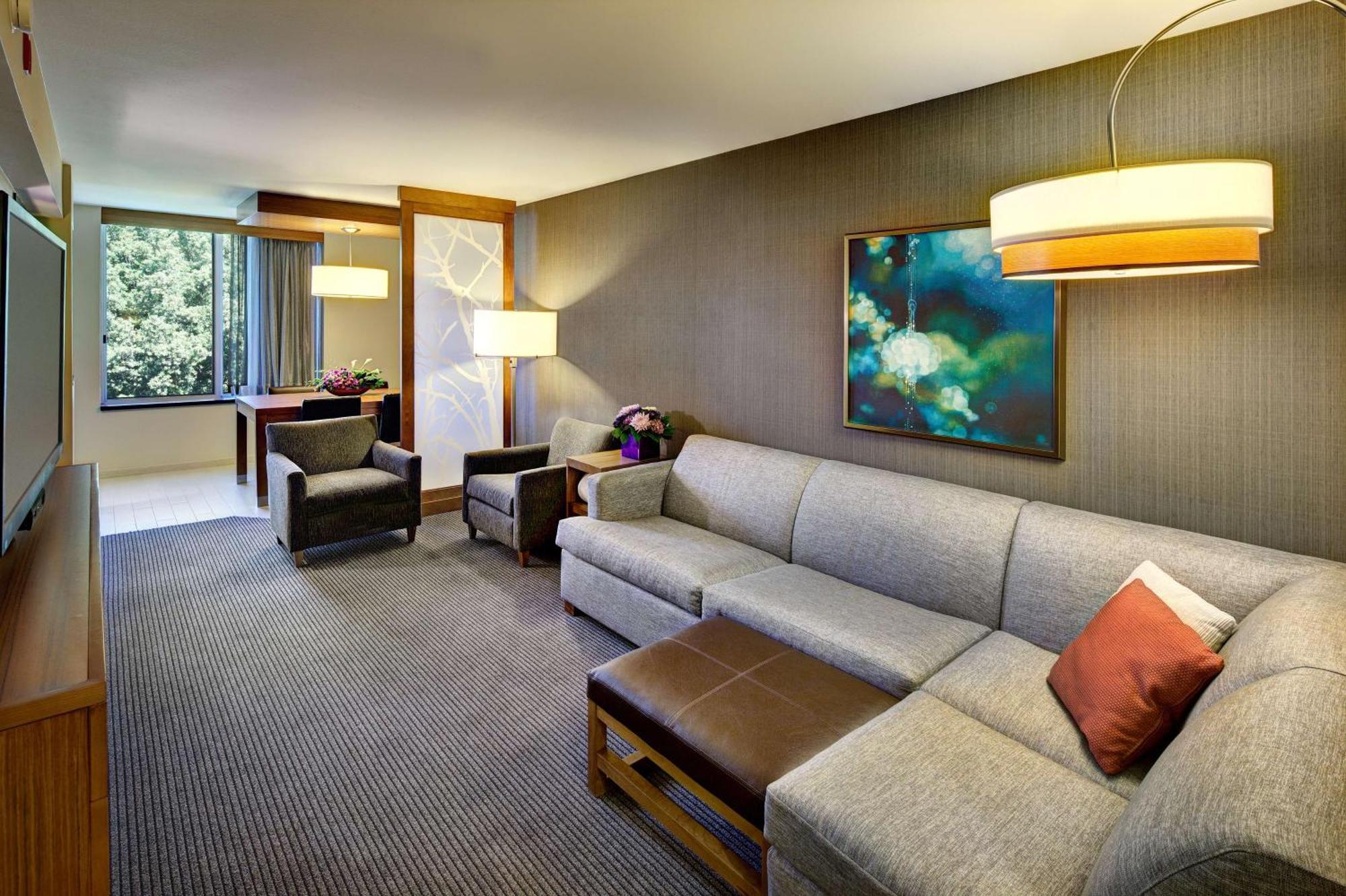 One-Bedroom King Suite Sofa Bed