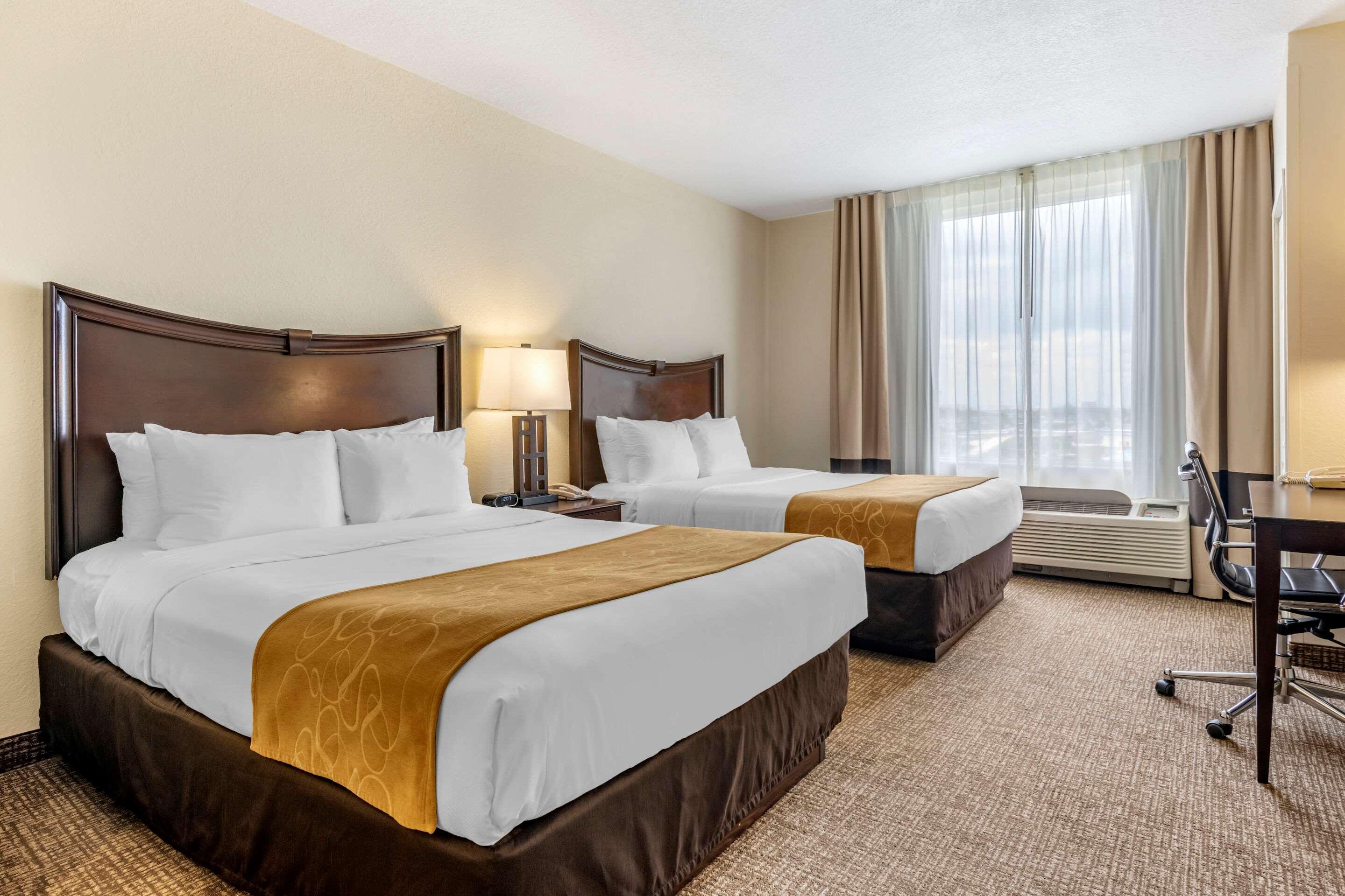 Queen Suite,1276524376:JPEG