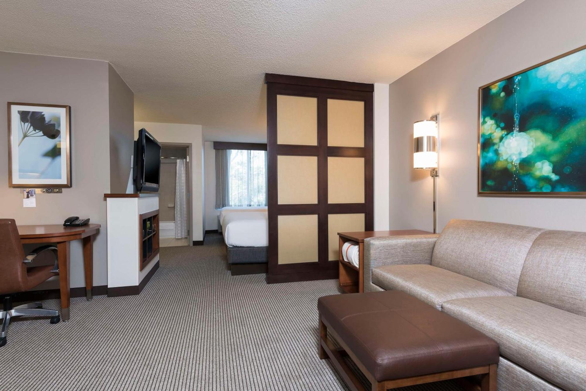 King Room Sofa Bed Accessible Tub Disability Access