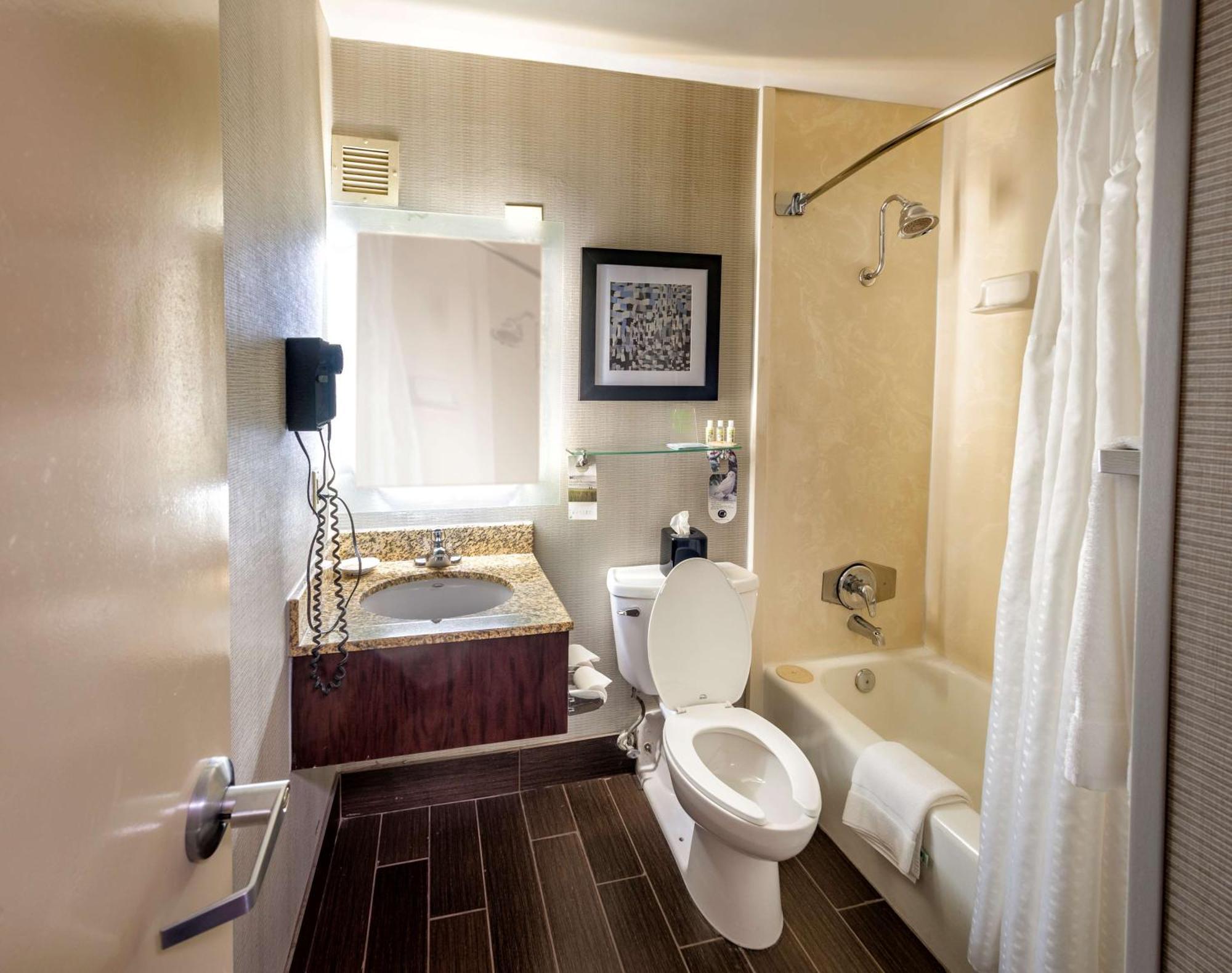 King Suite with Sofa-Bed - Non-Smoking