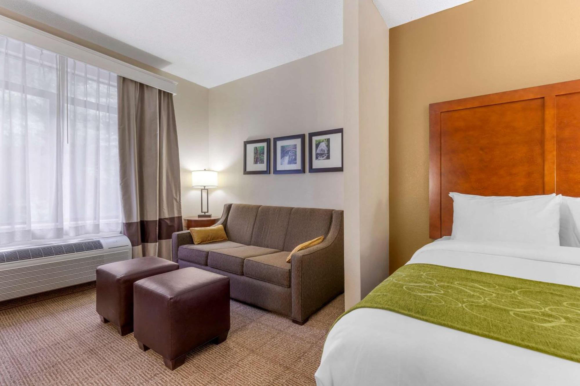 Queen Suite with Two Queen Beds - Non-Smoking