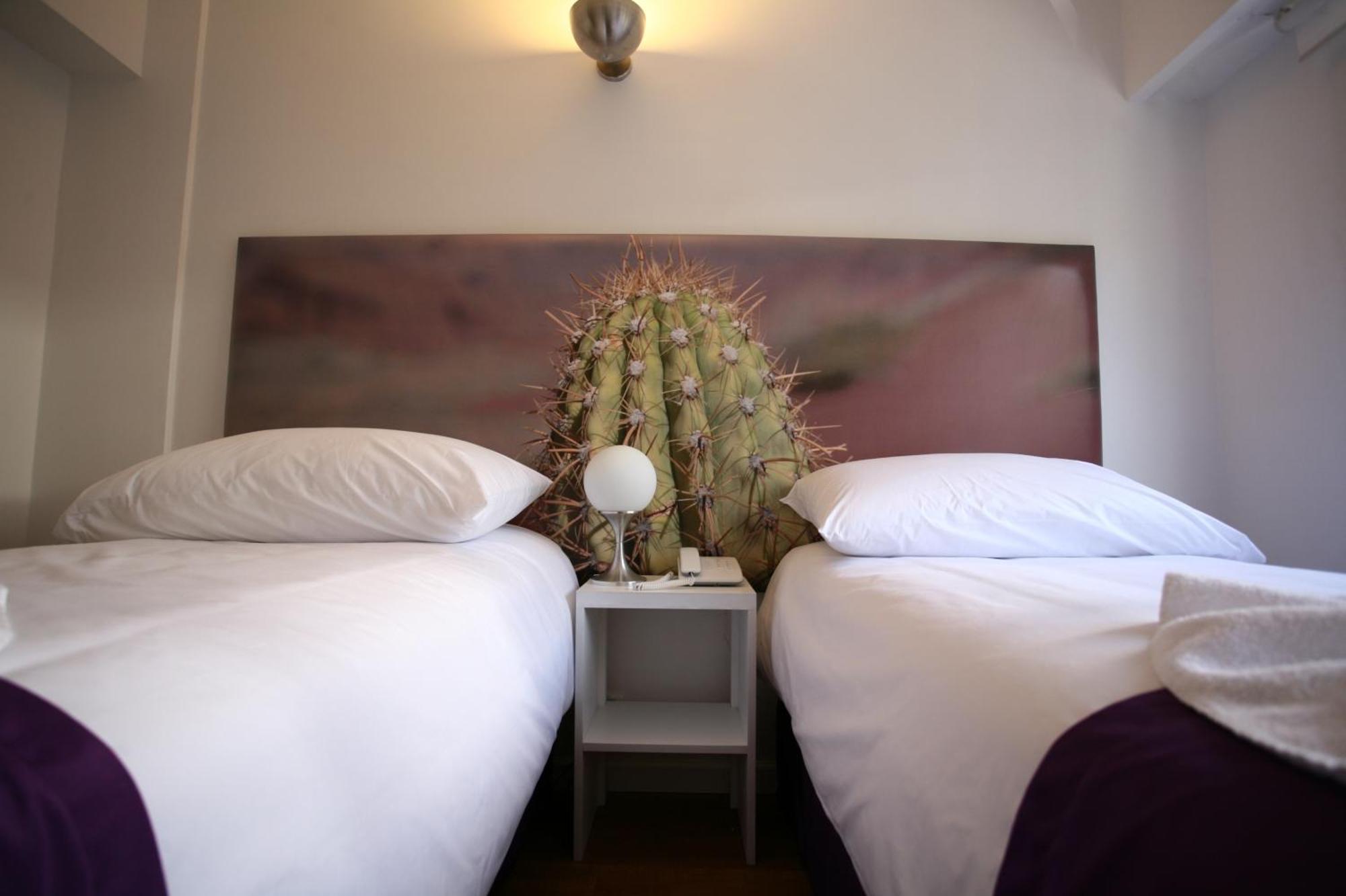 Double or Twin Room,951344113:JPEG