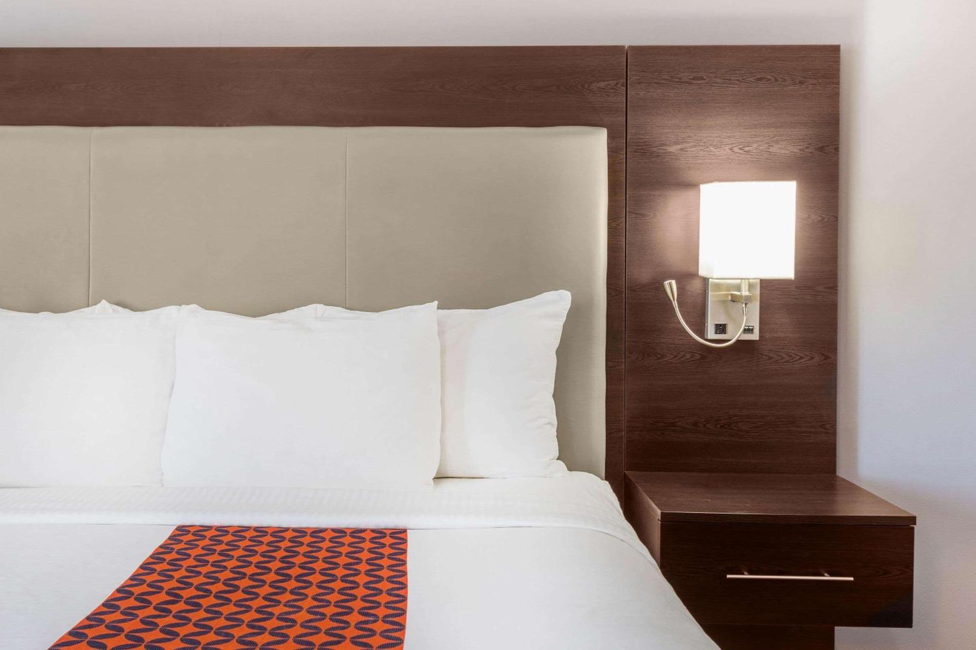 King Room,1278172042:JPEG