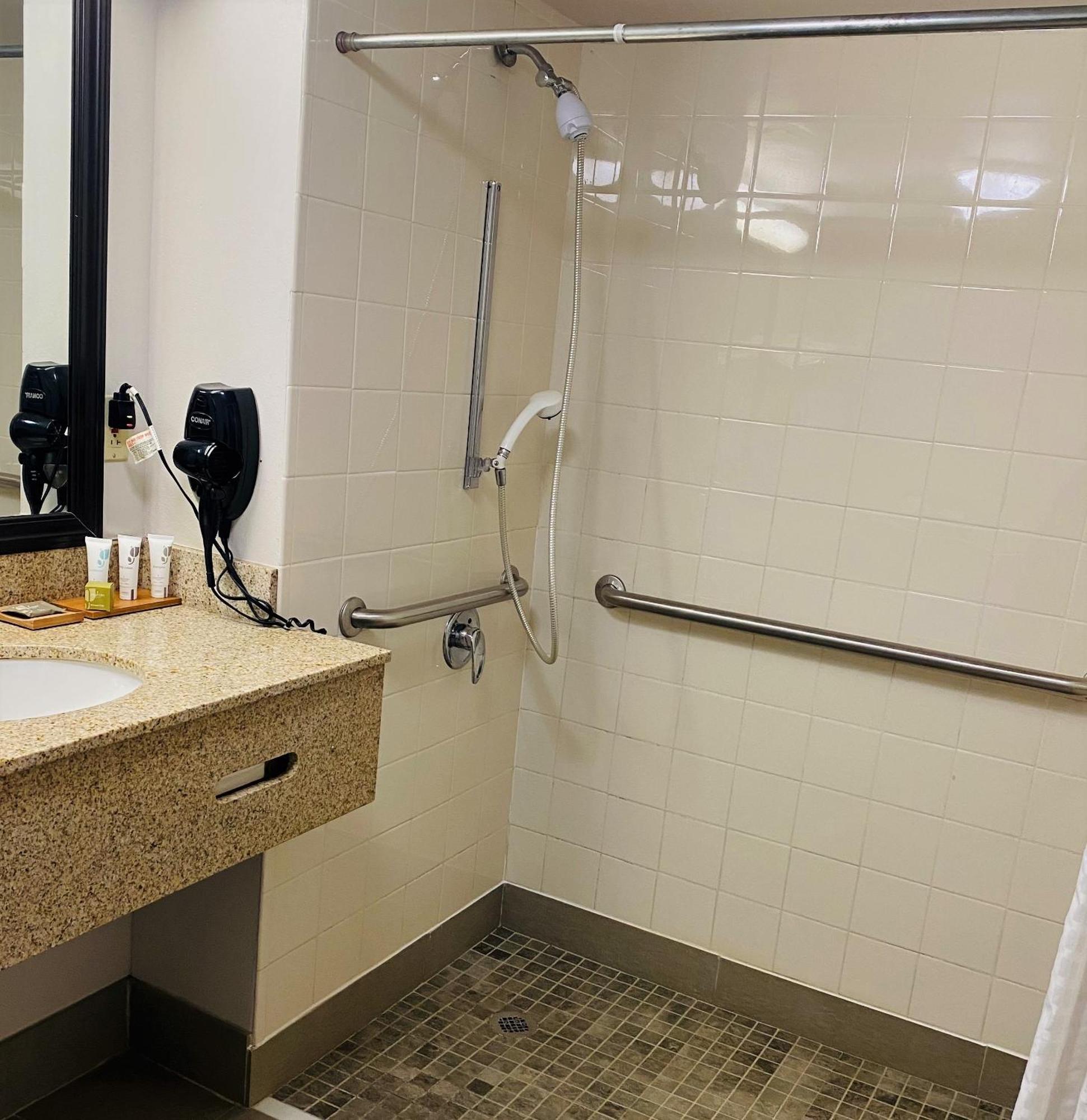 King Room Roll Shower Disability Access or Non-Smoking,749392703:JPEG