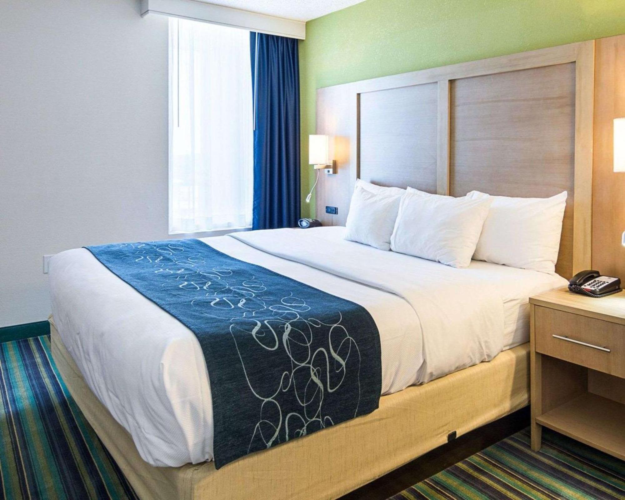 King Suite Ocean Front Sofa Bed Non-Smoking,1278860146:JPEG