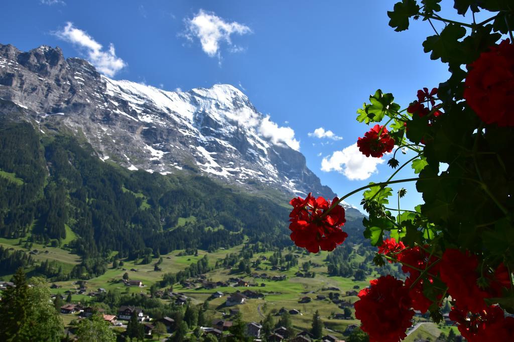 Superior Double Room Enzian Eiger view garden access,994233073:JPEG
