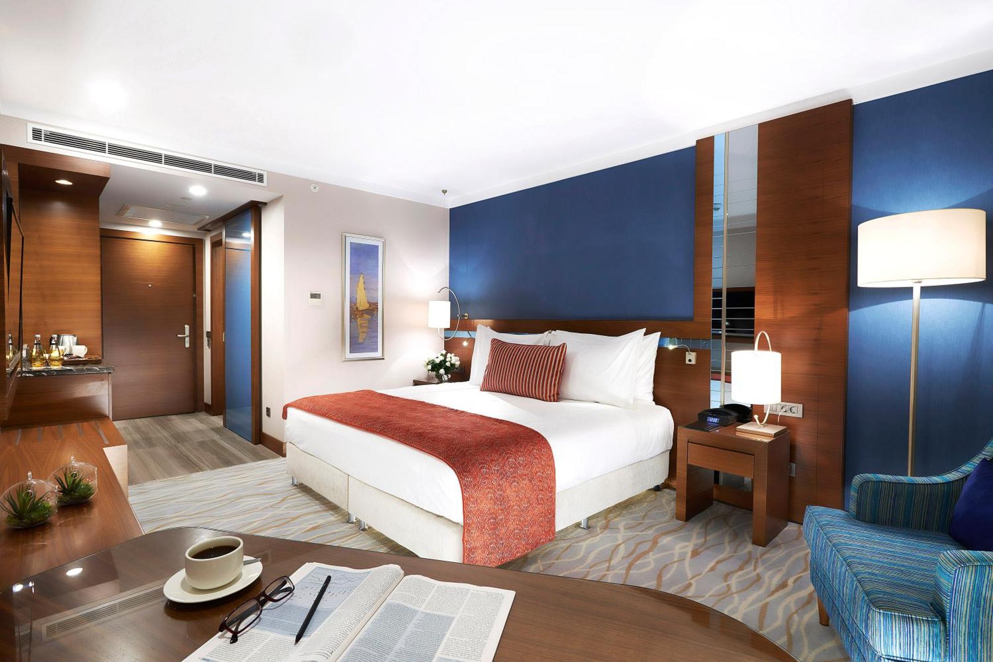 Superior King Room Mountain View