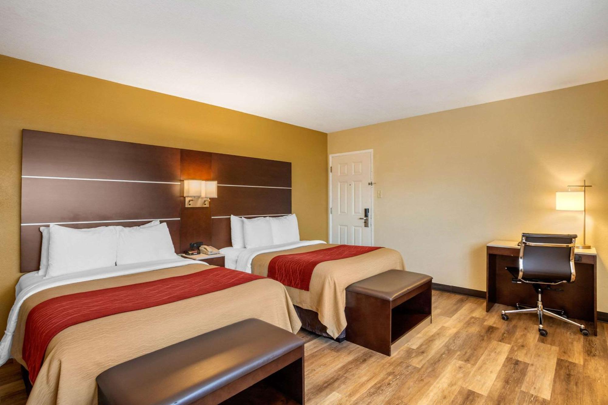 Standard Room 2 Double Beds Non Smoking