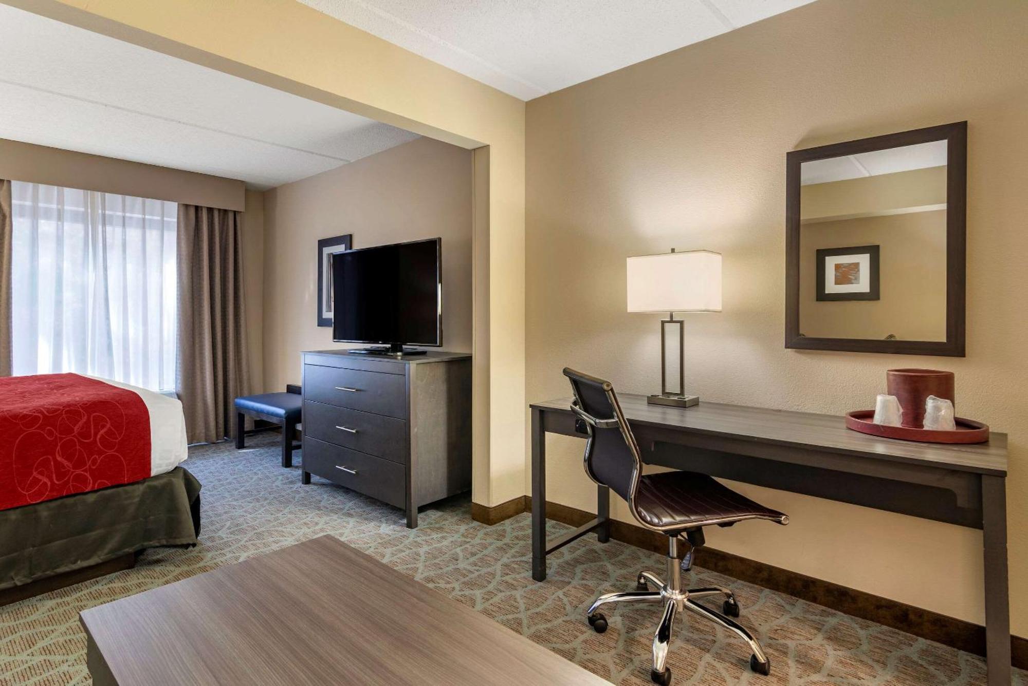 King Room Sofa Bed Accessible or Non Smoking