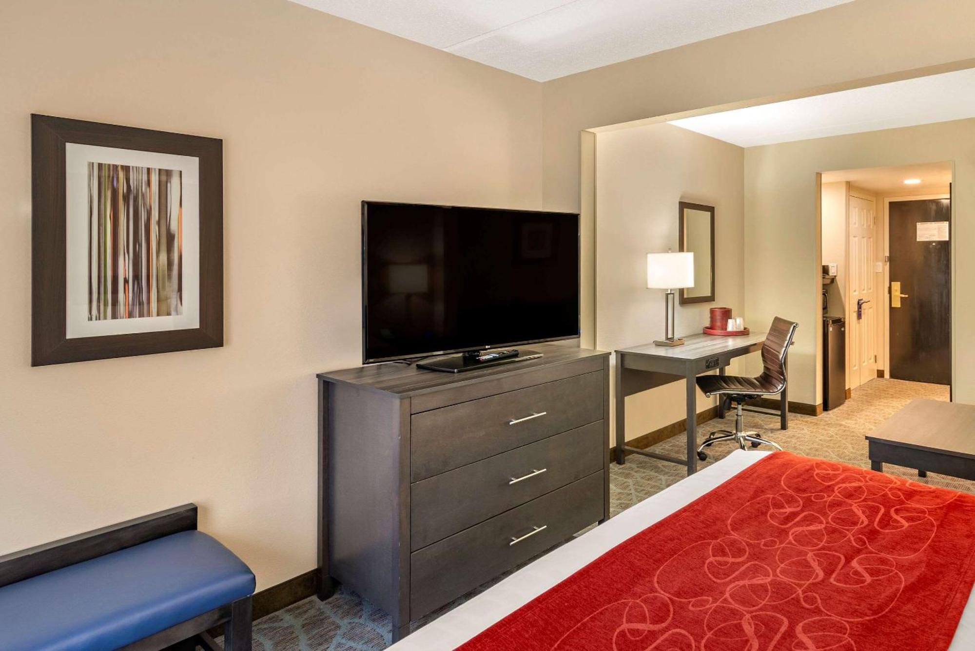 King Room Sofa Bed Accessible or Non Smoking