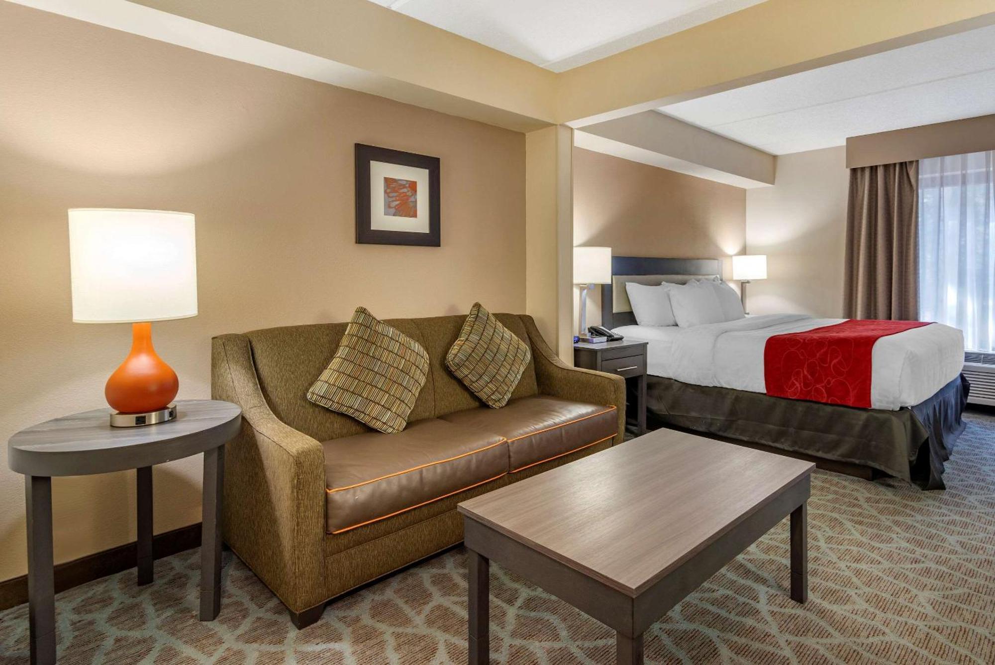 King Room Sofa Bed Accessible or Non Smoking