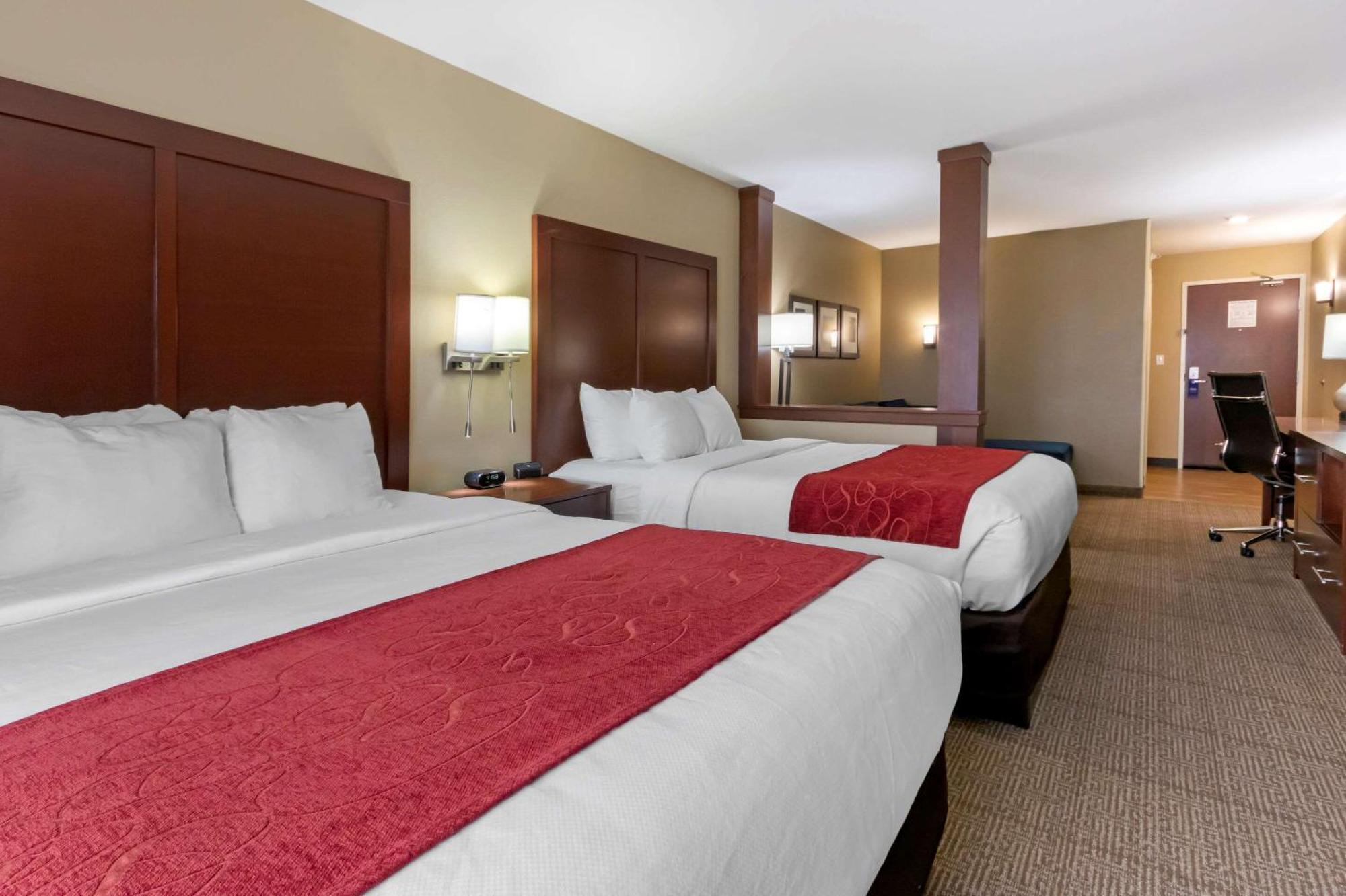Queen Suite Two Queen Beds Sofa Bed