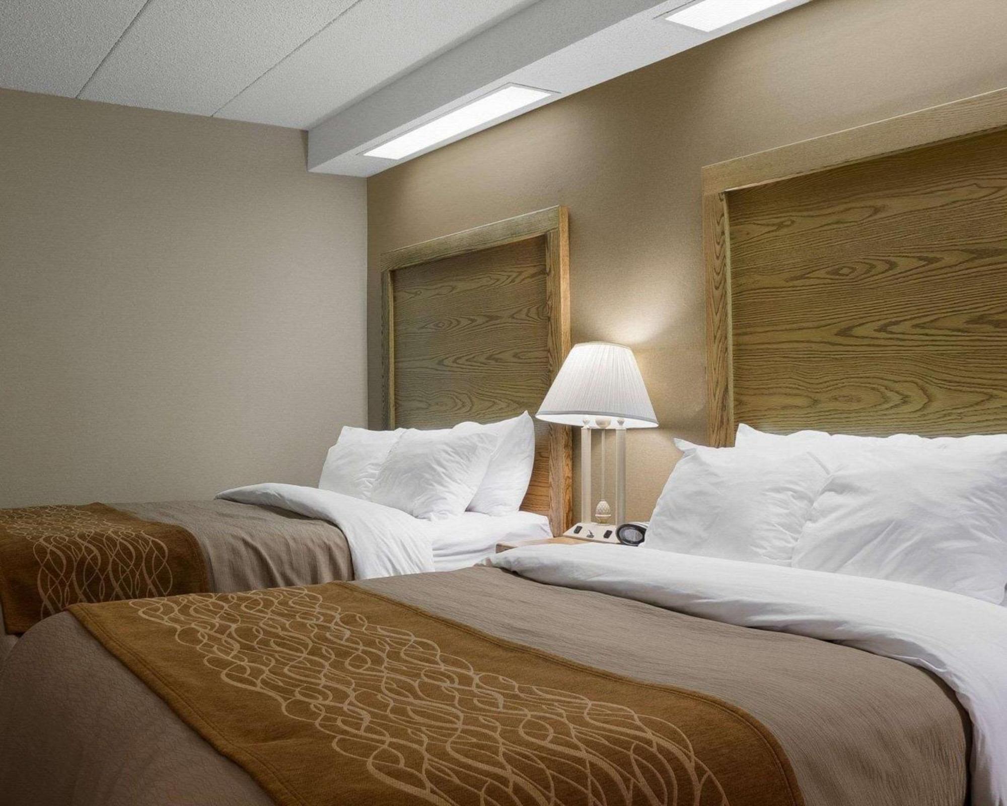 Standard Double Room with Two Double Beds - Non Smoking