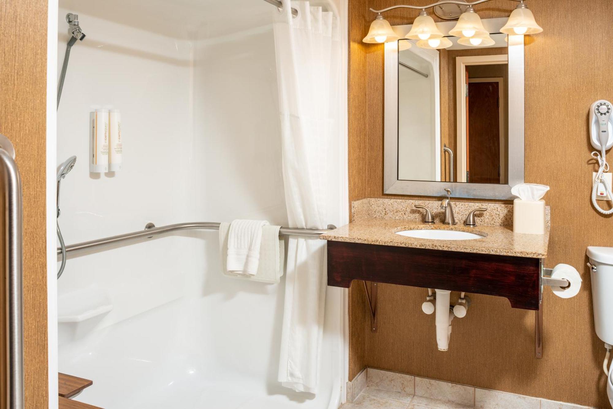 King Room Roll Shower Mobility Accessible or Non-Smoking,1281158932:JPEG