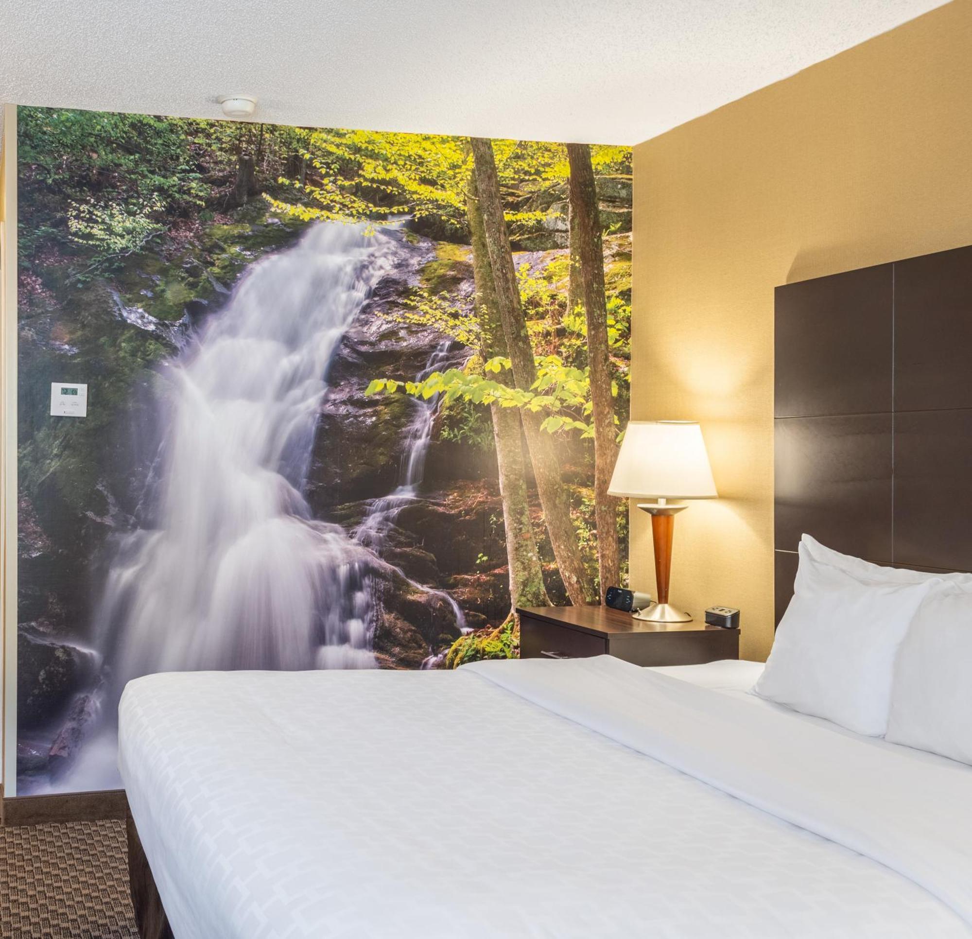 King Room Disability or Hearing Accessible Ground Floor