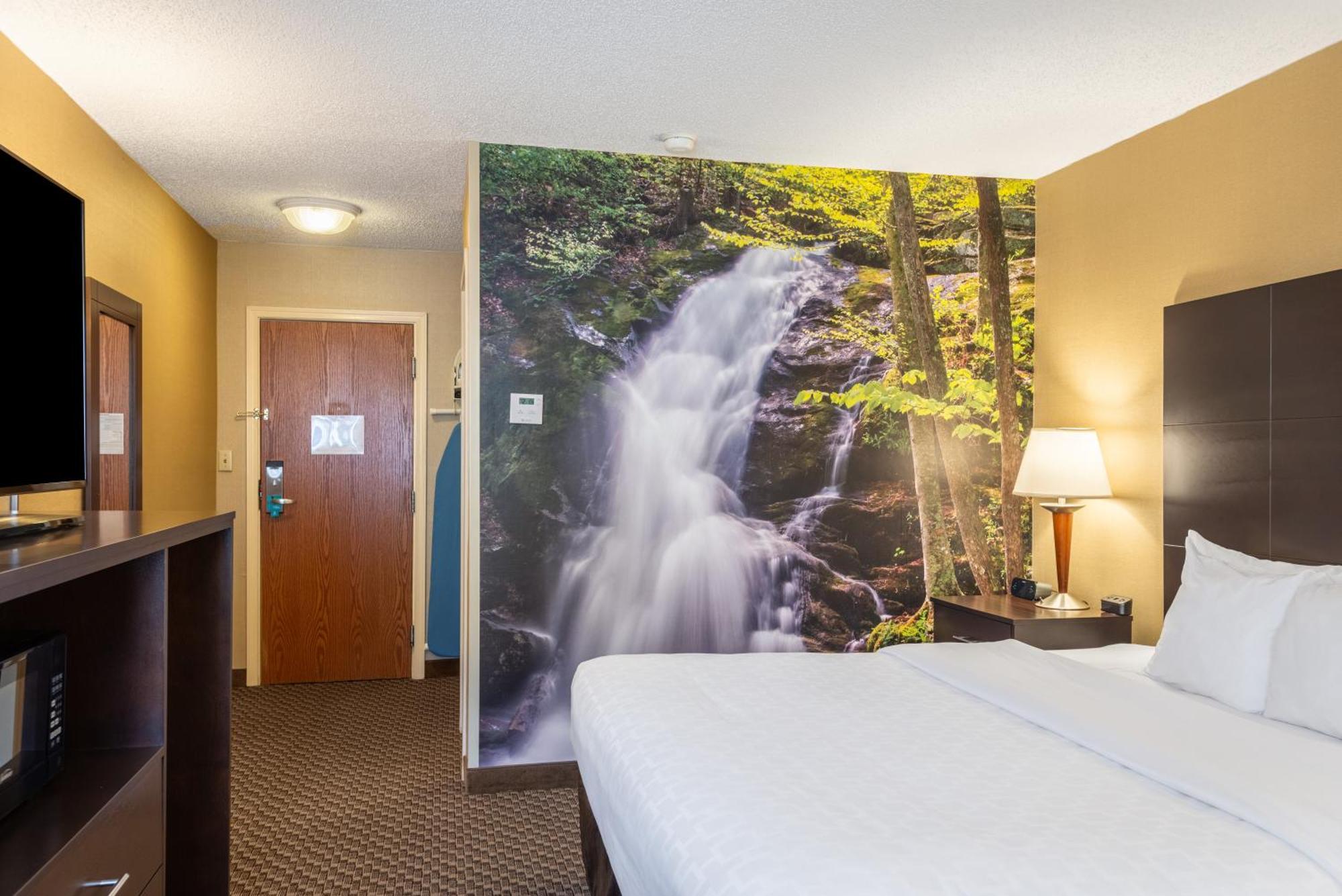 King Room Disability or Hearing Accessible Ground Floor