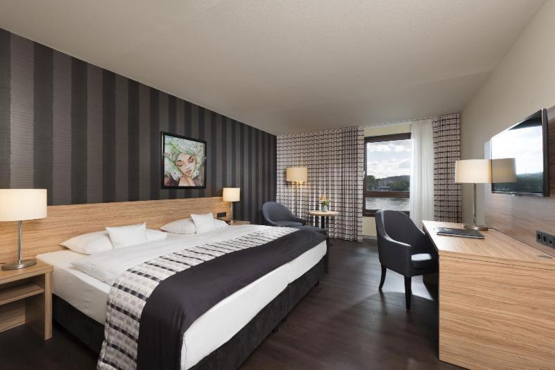 Superior Double Room Rhine View