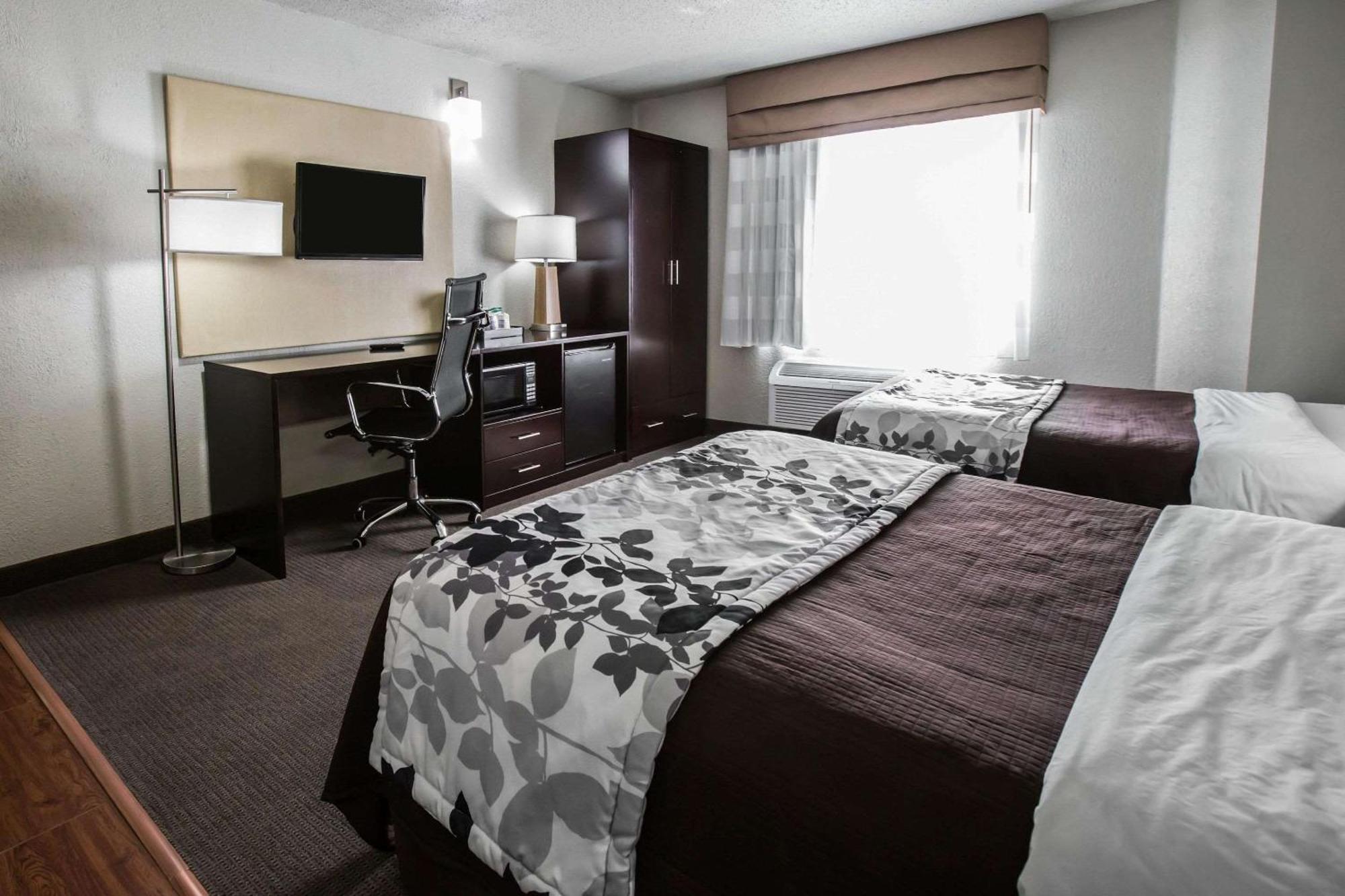 Standard Double Room Two Double Beds Non-Smoking