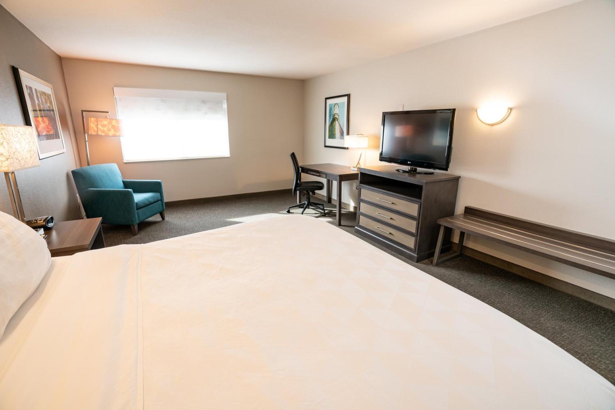 King Room Sofa Bed South Wing