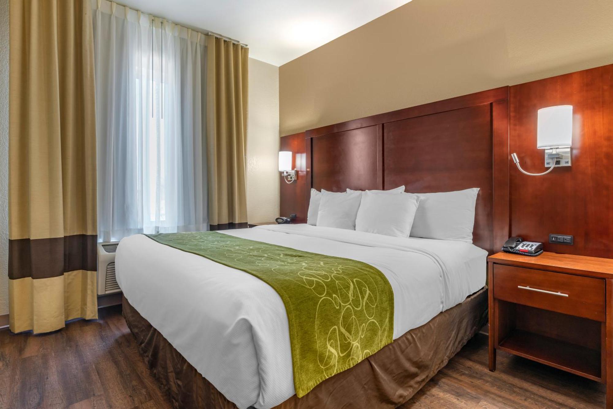 King Suite Sofa Bed Non-Smoking or Pet Friendly