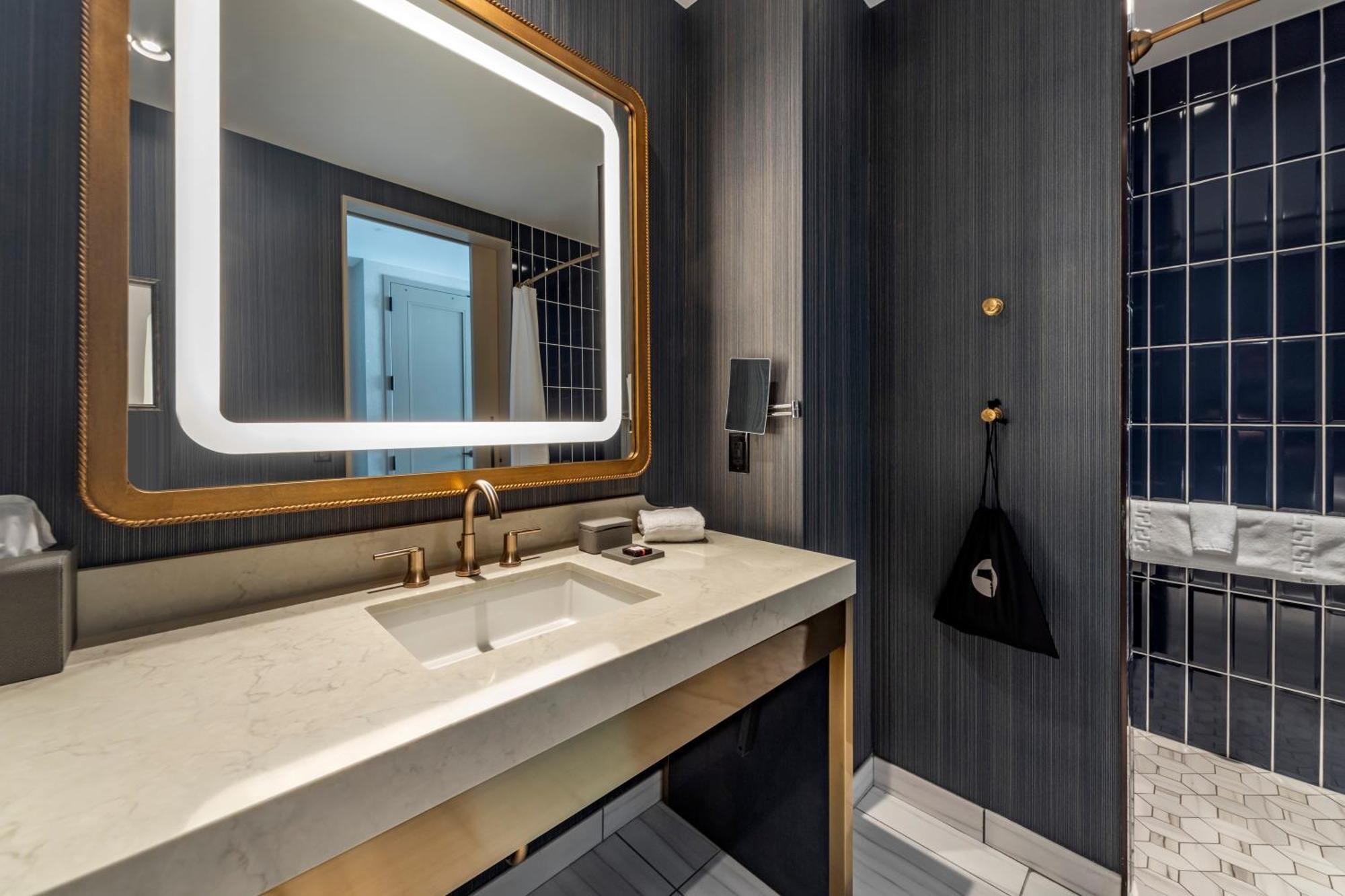Accessible Premier Roll Shower 2 Queen Beds