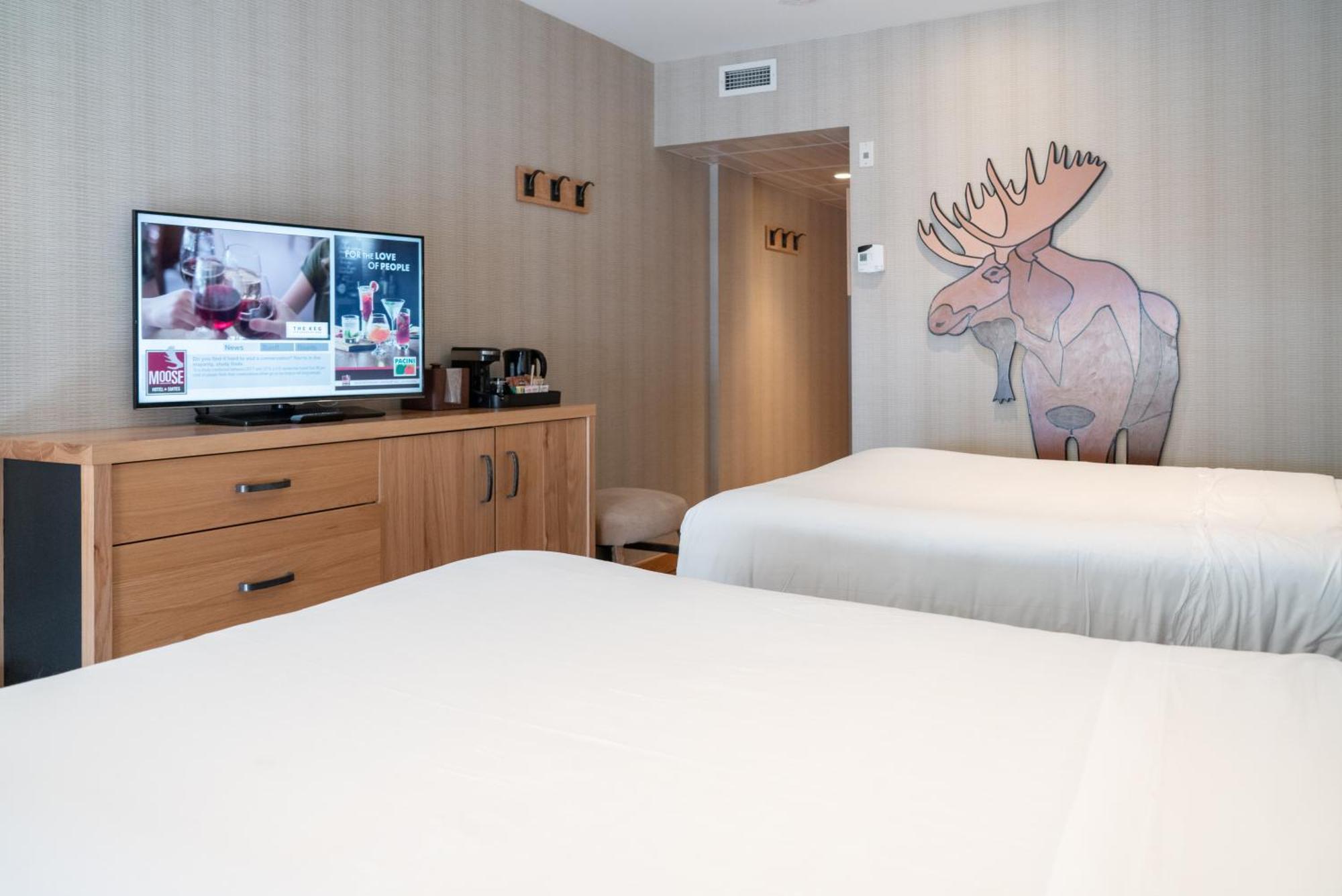 Superior Queen Room with Two Queen Beds