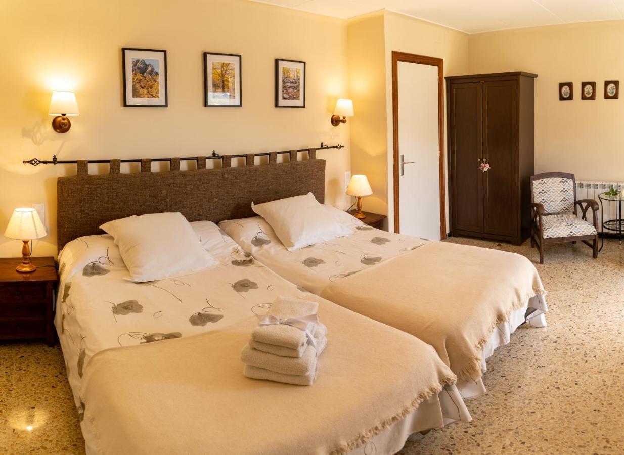 Superior Double or Twin Room