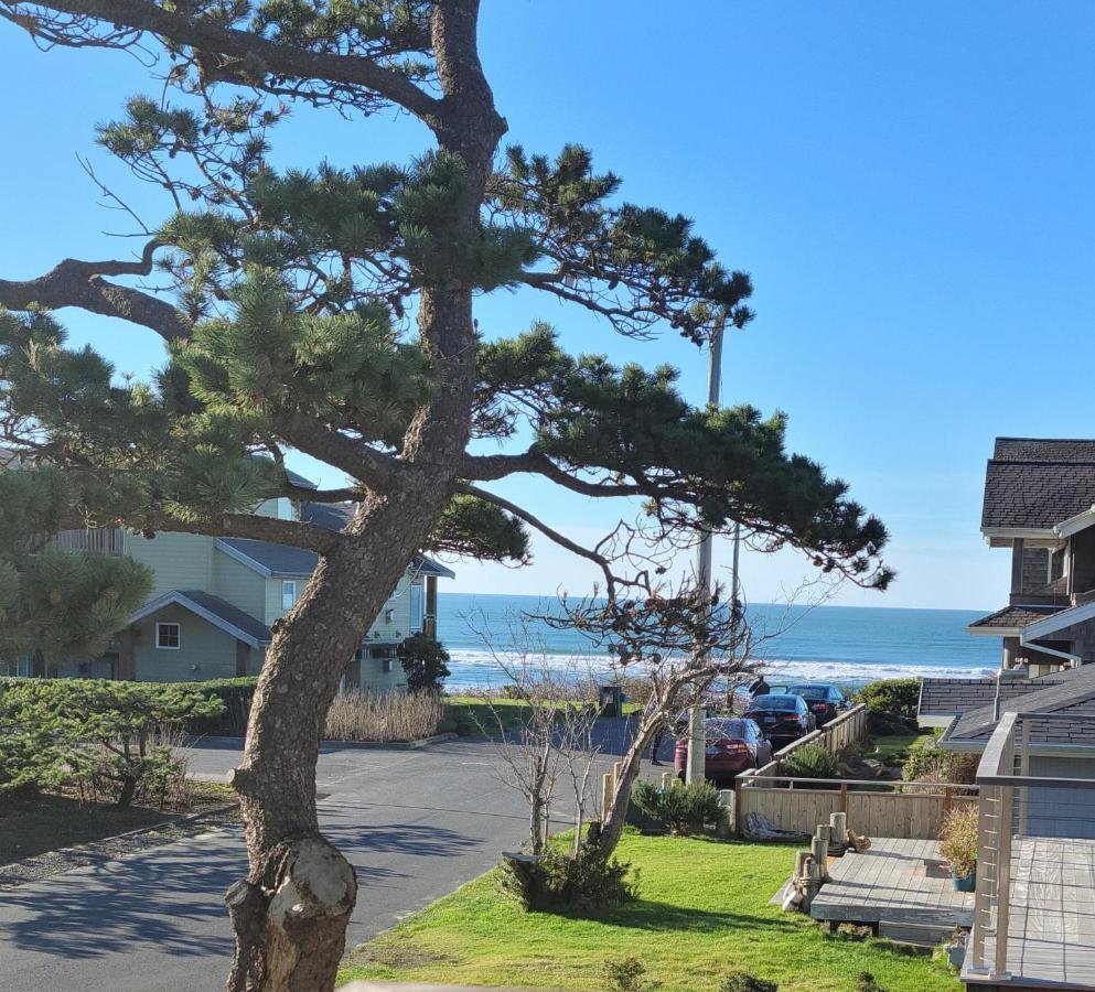 The Courtyard - Oceanview King (Children and Pet Friendly)