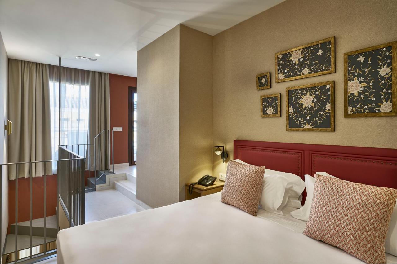 Suite Terrace