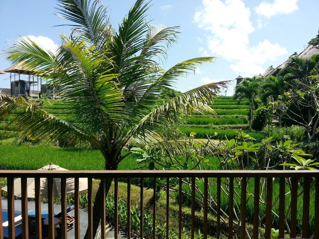 Retreat Deluxe Double Room Pool View,696774888:JPEG
