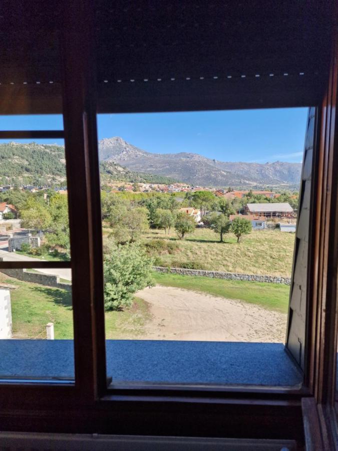 Habitación Doble Estándar con vistas al jardín - 1 o 2 camas