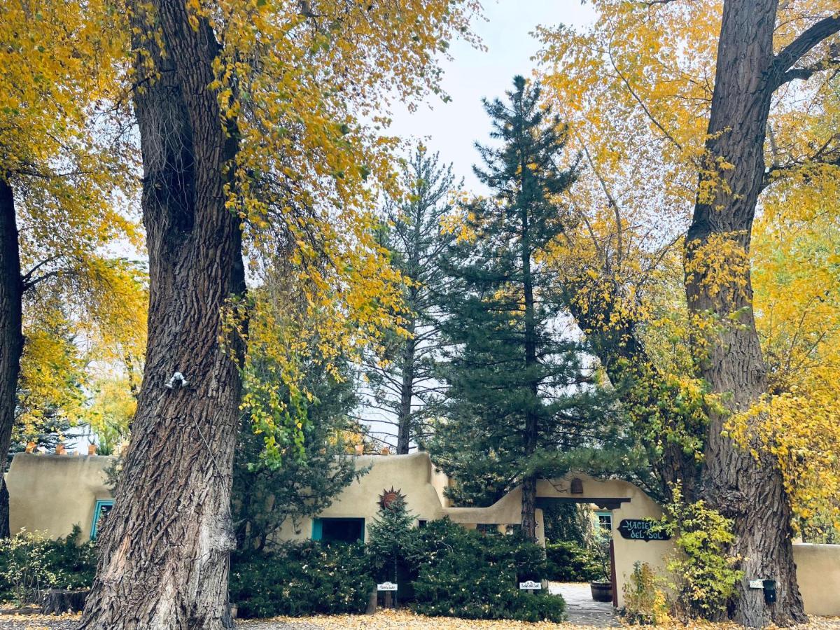 Villa with Garden View