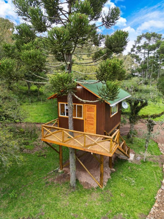One-Bedroom Chalet,1694599353:JPEG