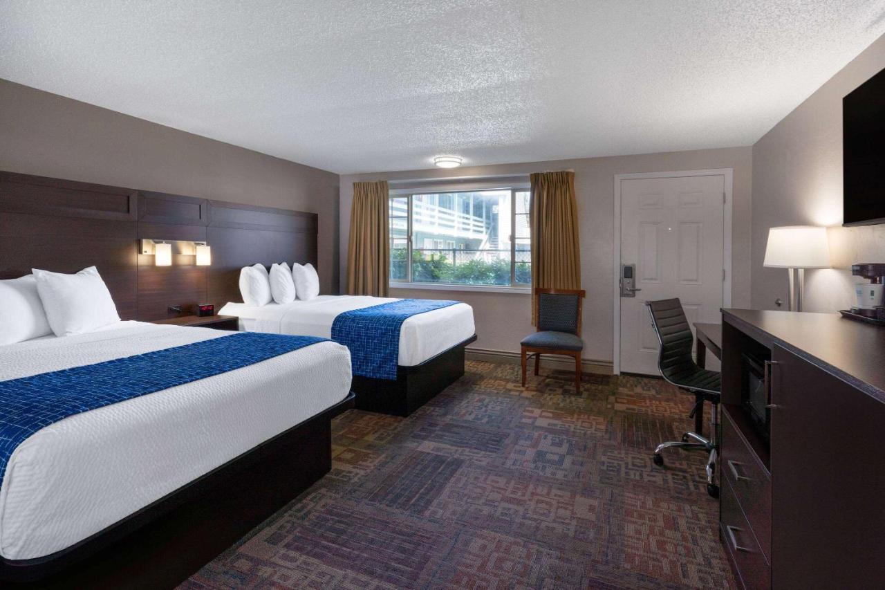 Deluxe Queen Room Two Queen Beds